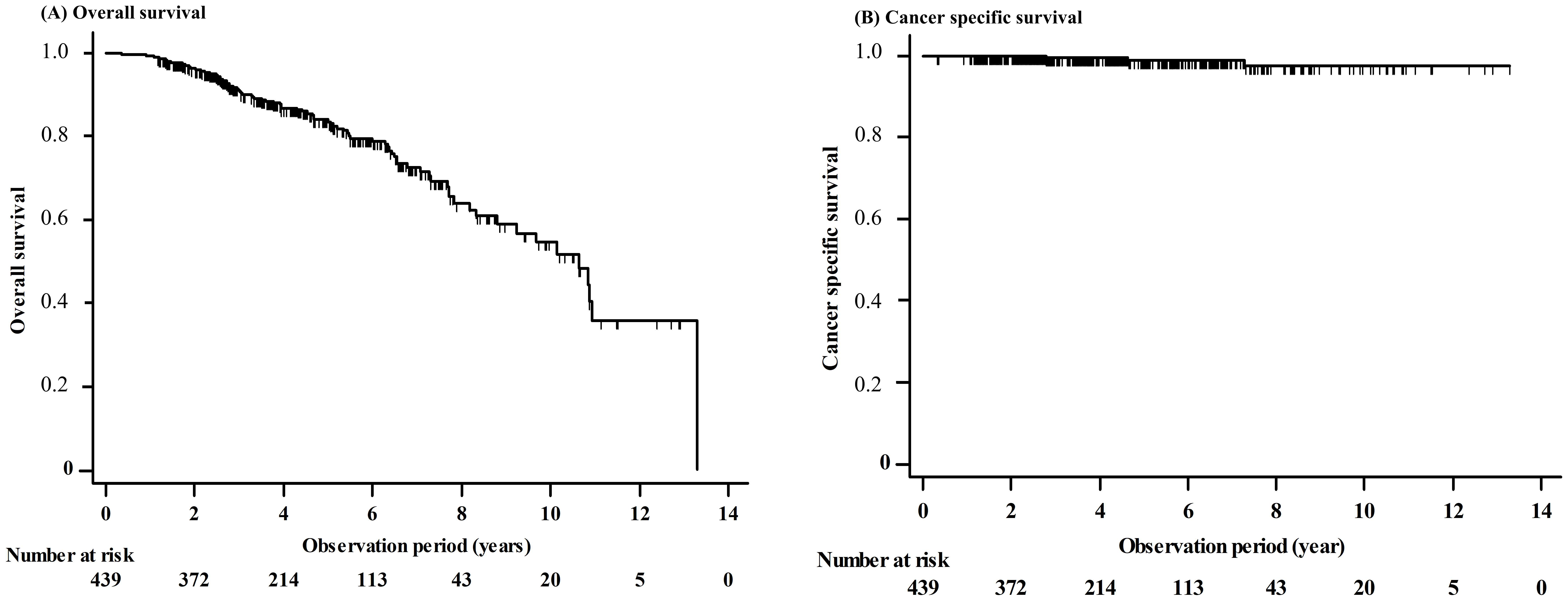 Cancers 12 03222 g001 Cancers 12 03222 g001