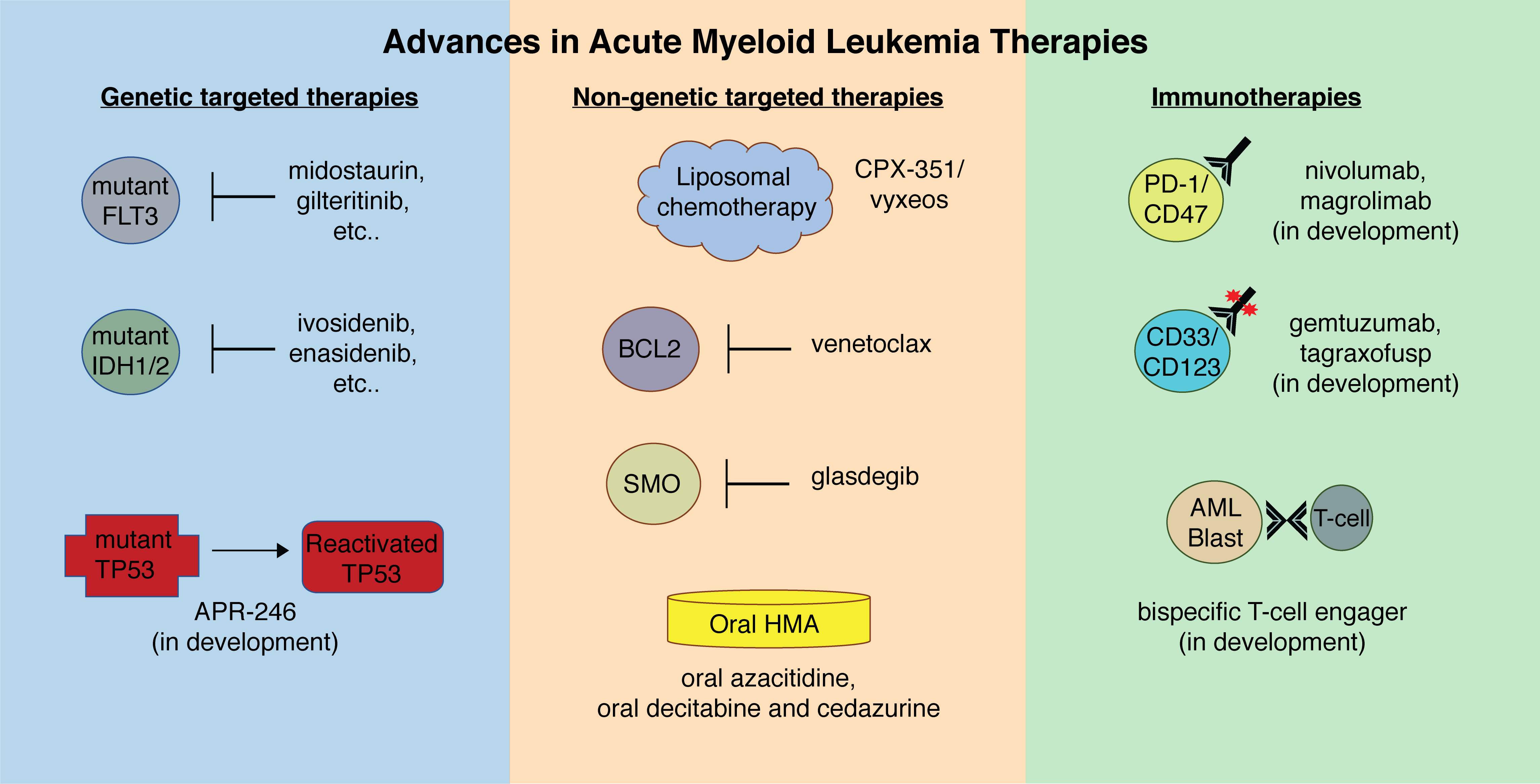 Cancers Free Full Text Advances In Acute Myeloid Leukemia Recently Approved Therapies And Drugs In Development Html