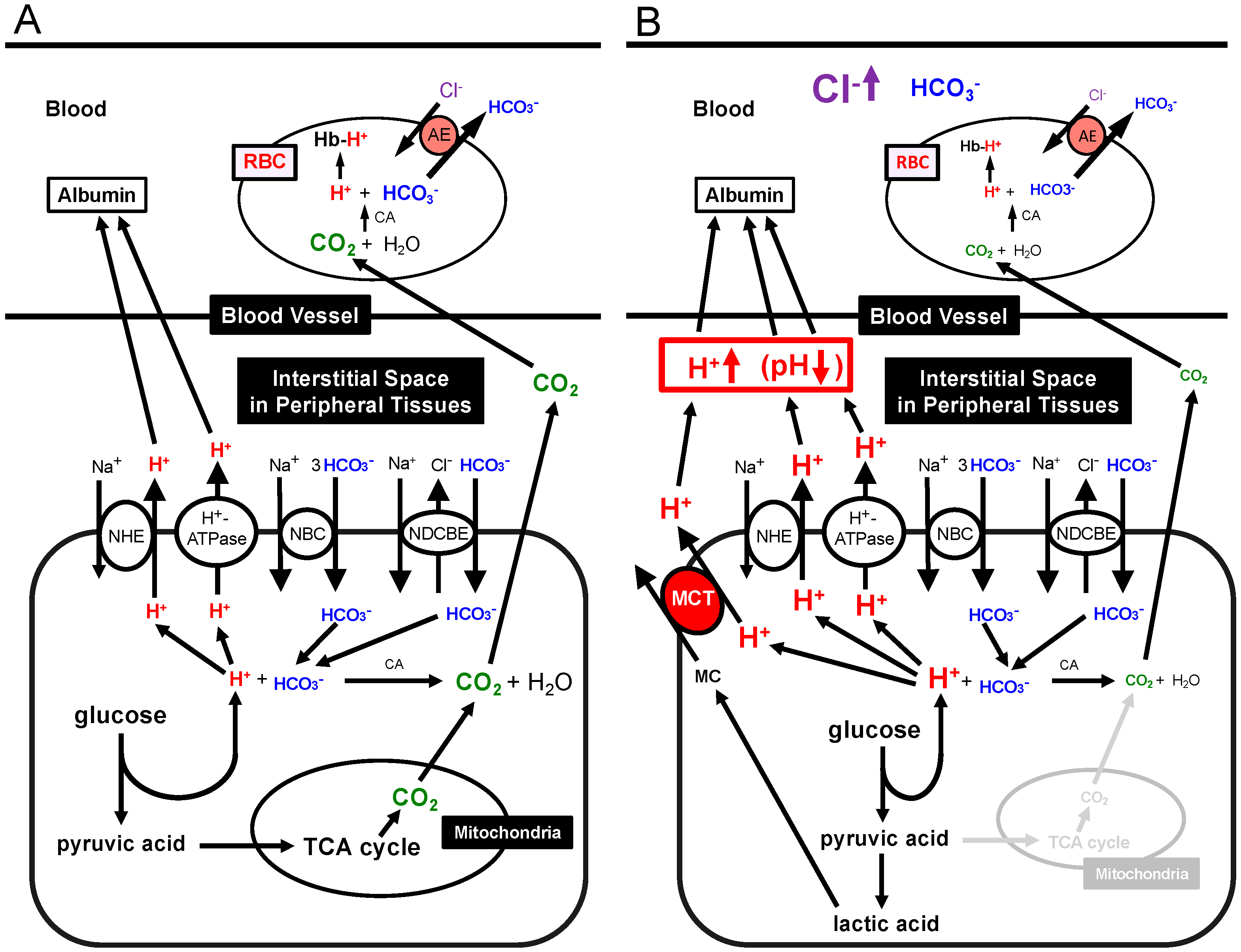 Cancers 12 03226 g001