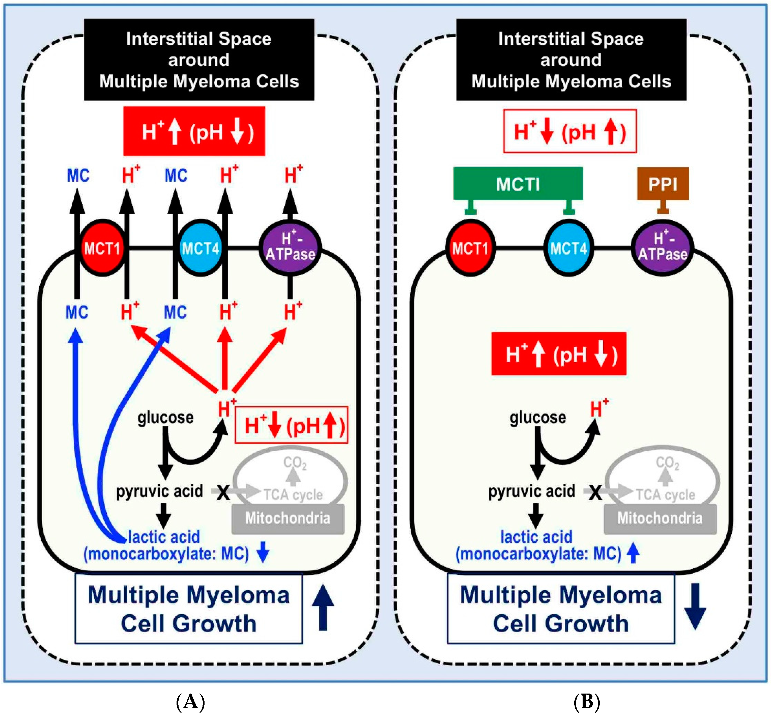 Cancers 12 03226 g002