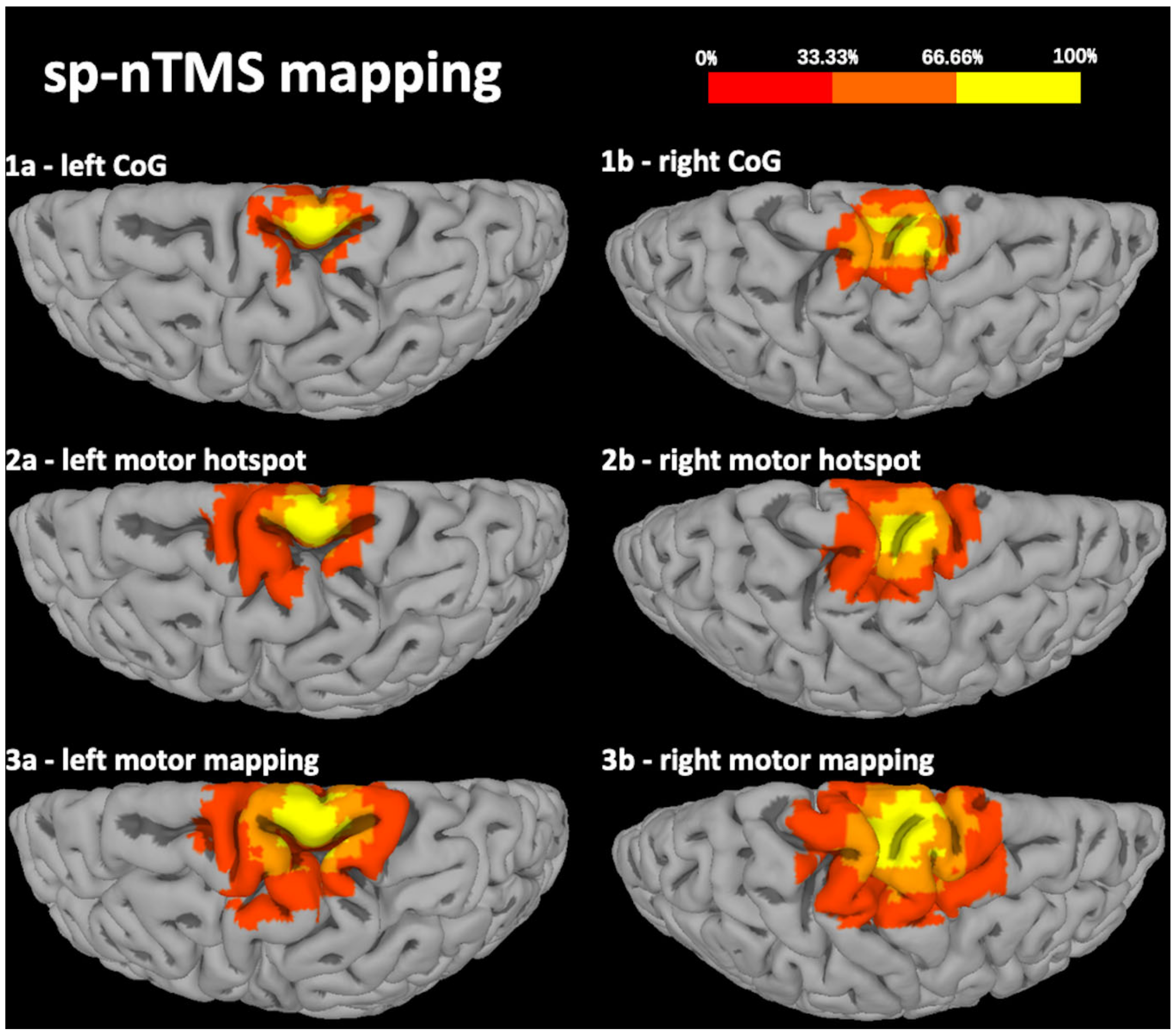Cancers 12 03233 g001 Cancers 12 03233 g001