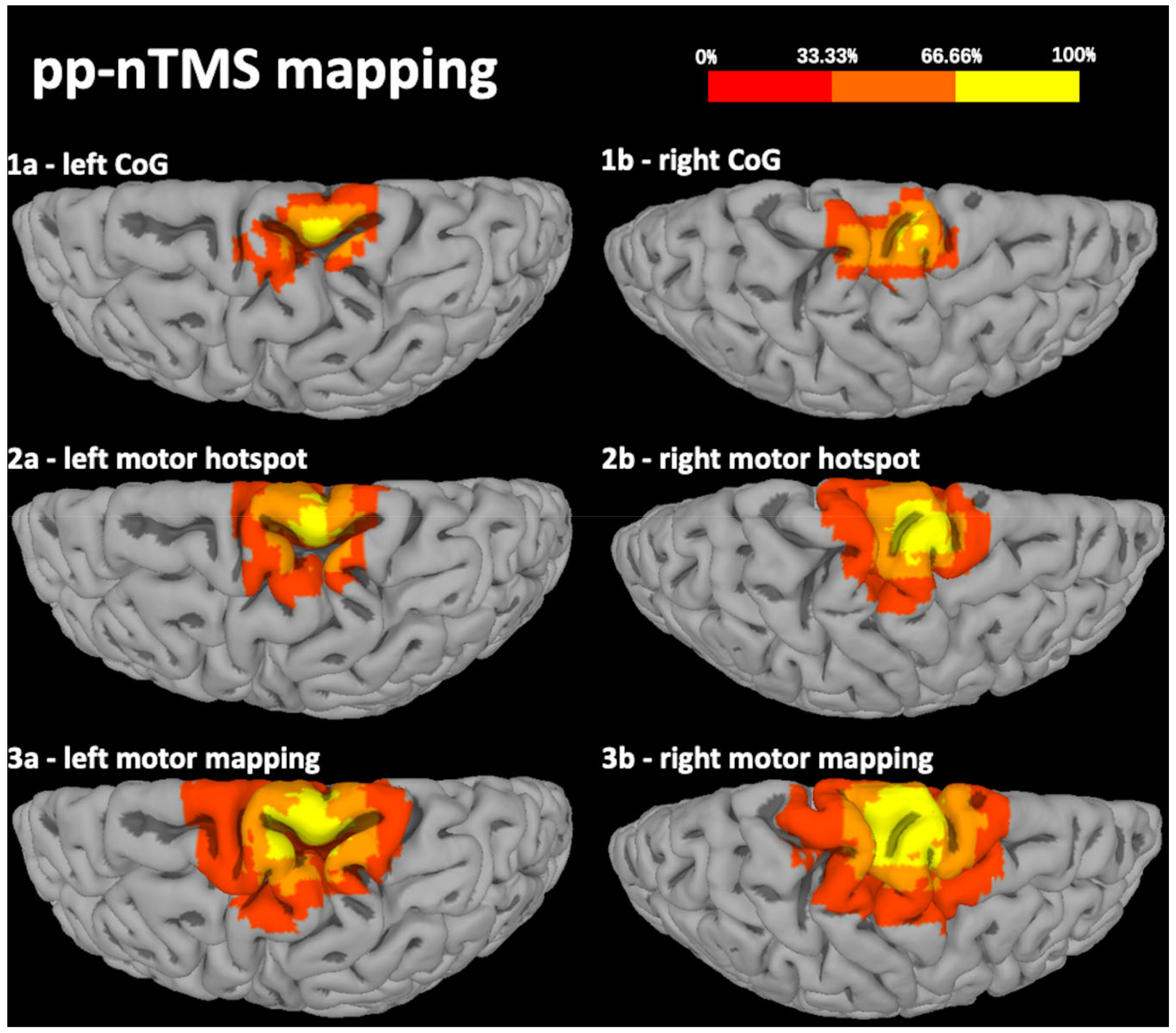 Cancers 12 03233 g002 Cancers 12 03233 g002