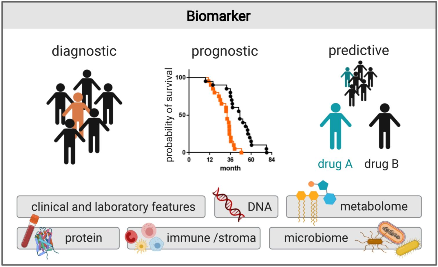 Cancers Free FullText Recent Discoveries of Diagnostic, Prognostic