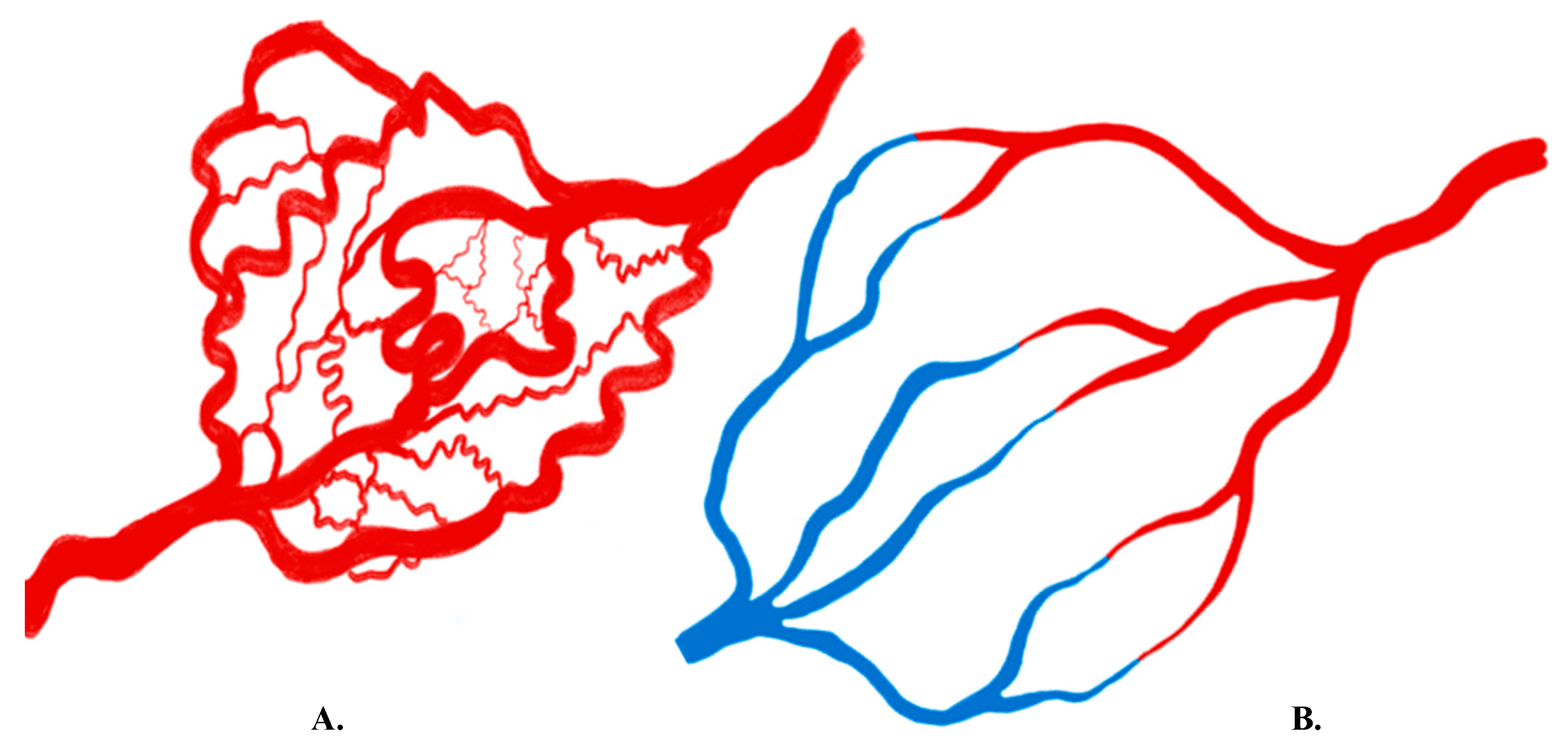 Cancers 12 03239 g002