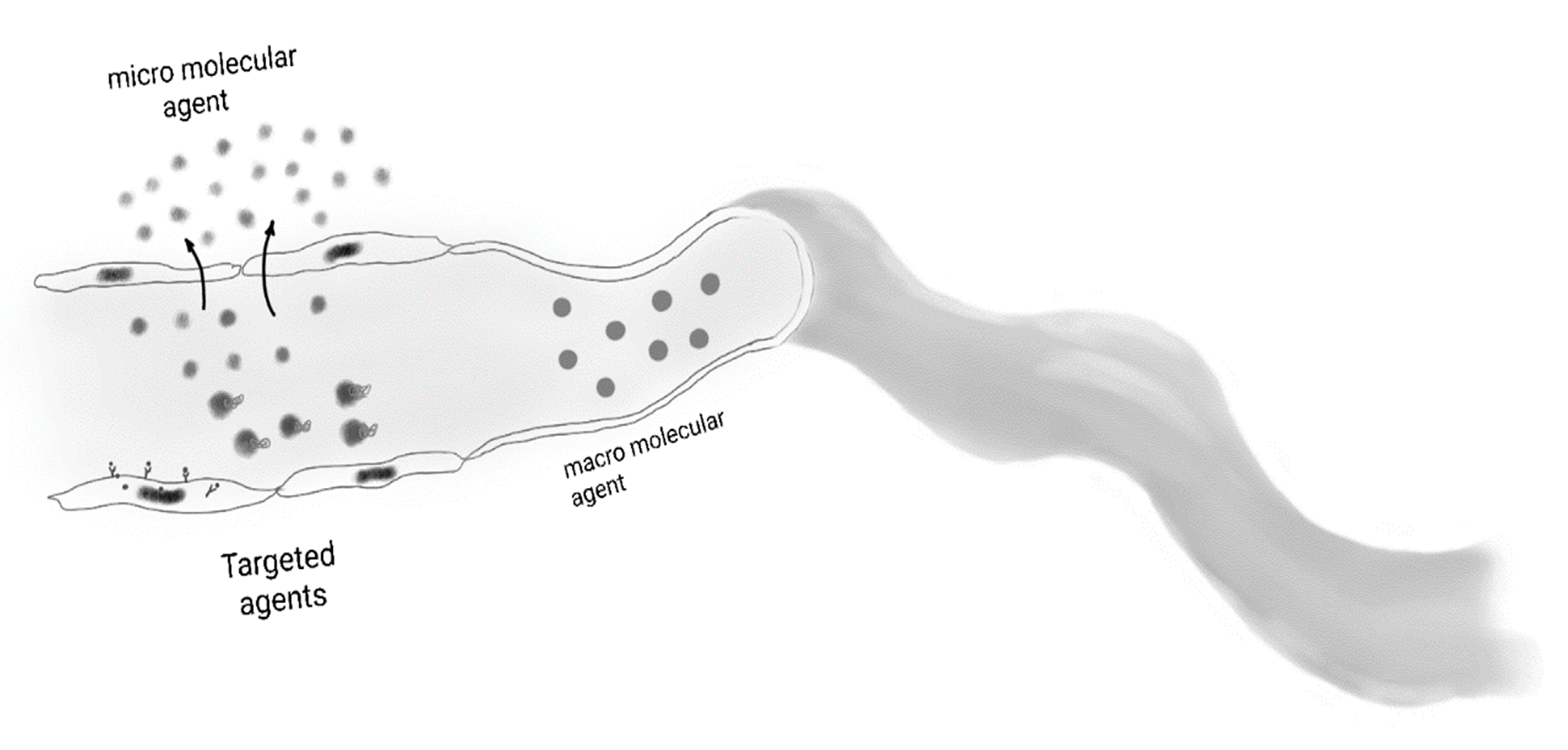 Cancers 12 03239 g005