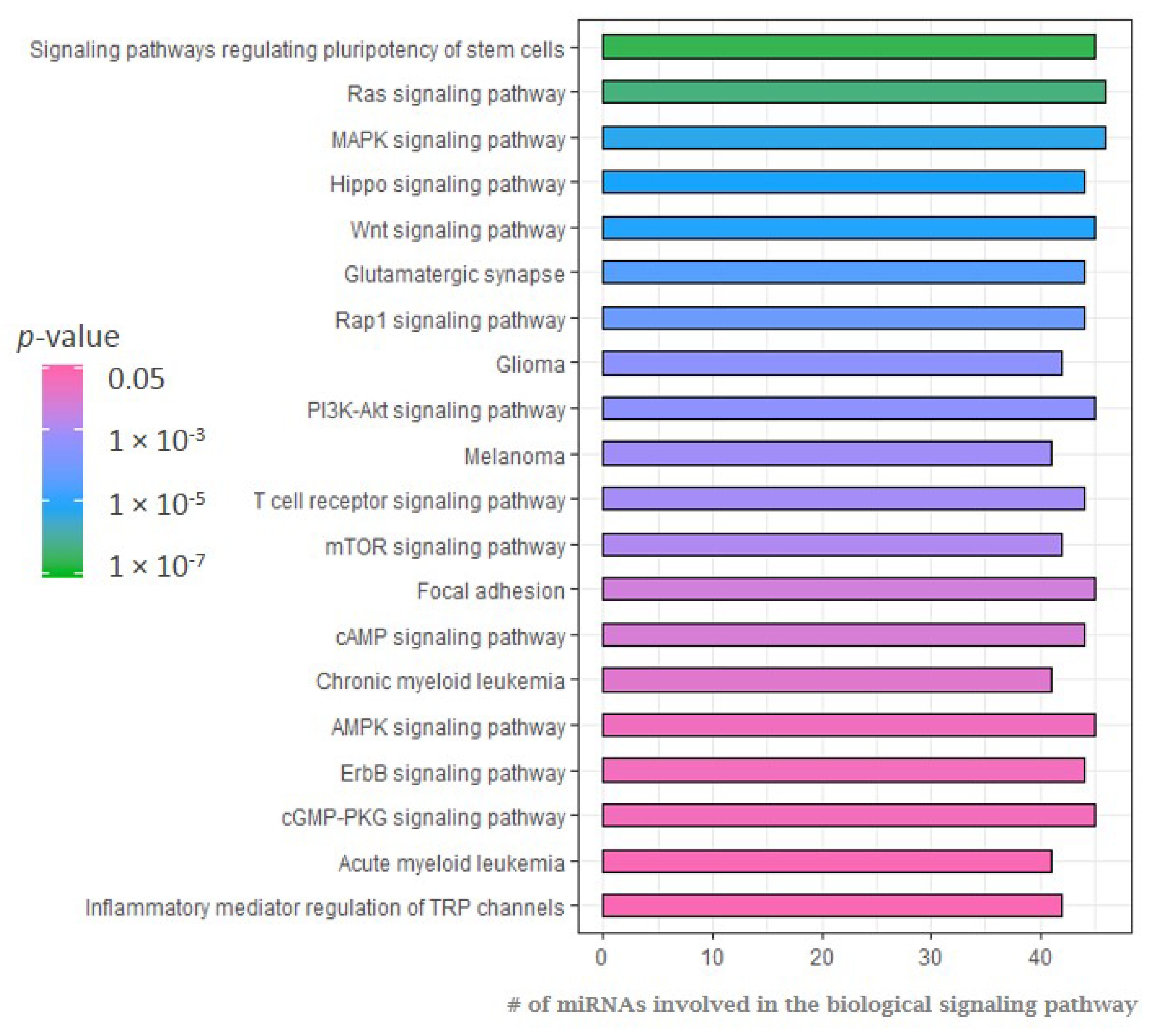 Cancers 12 03240 g003 Cancers 12 03240 g003