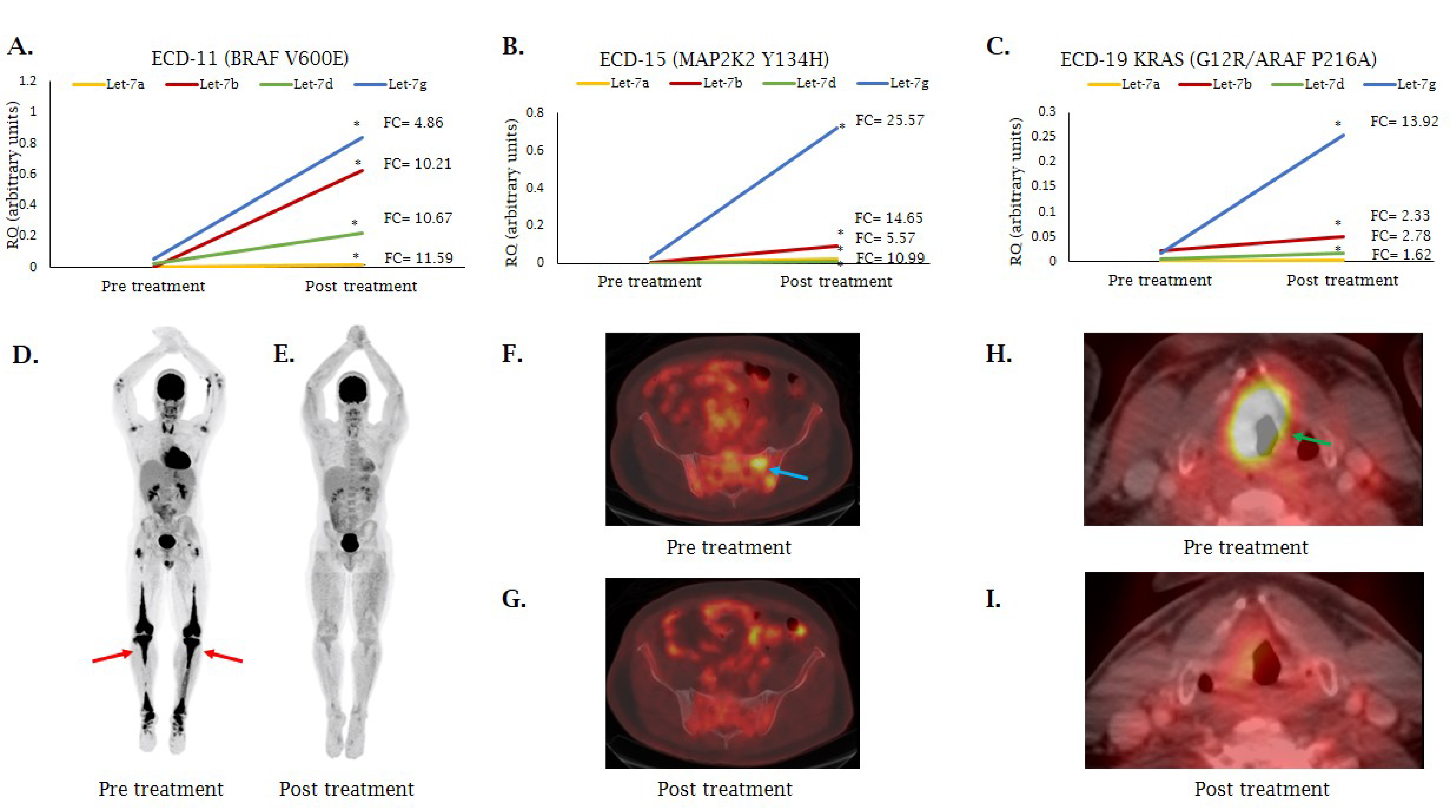 Cancers 12 03240 g007 Cancers 12 03240 g007