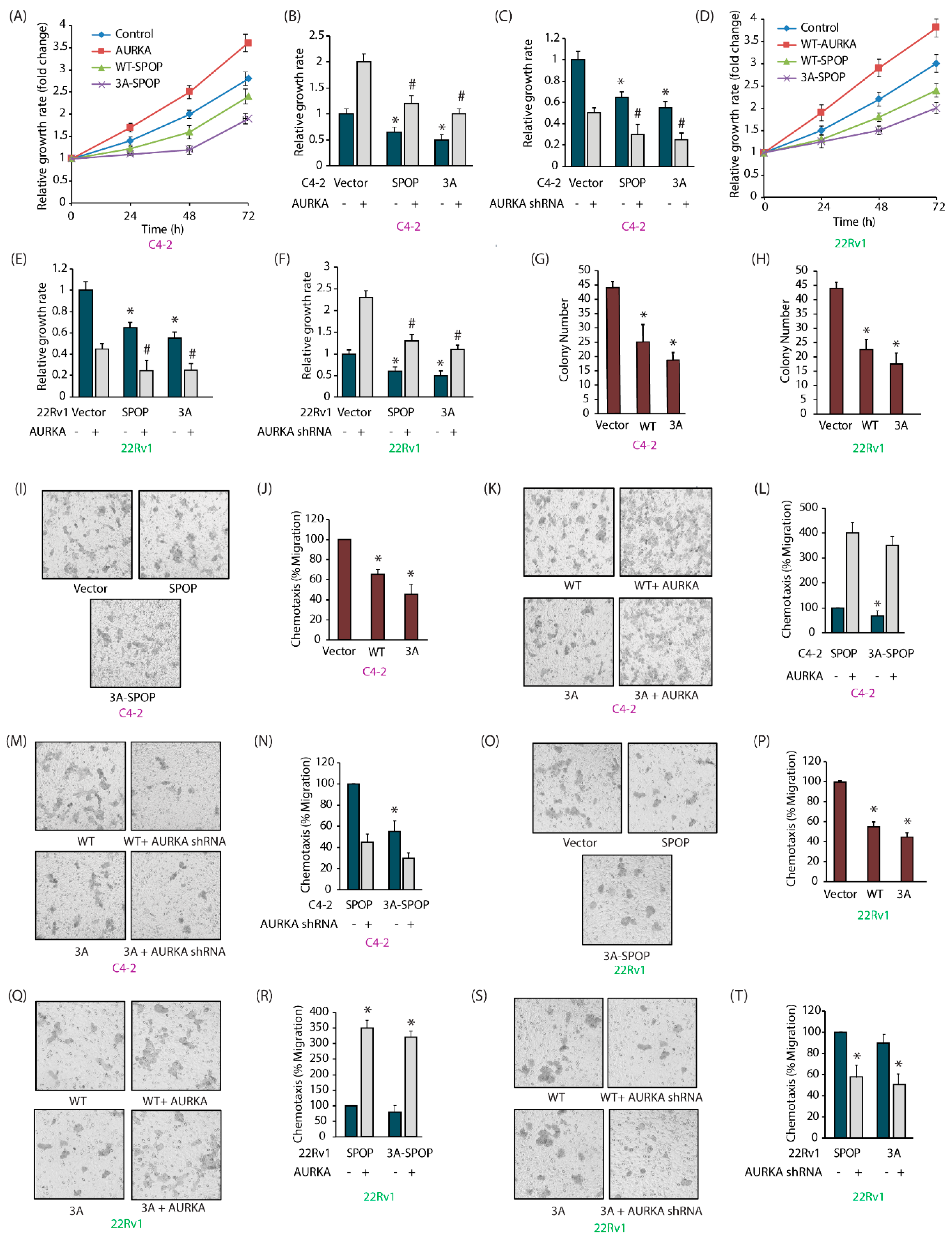 Cancers 12 03247 g005 Cancers 12 03247 g005