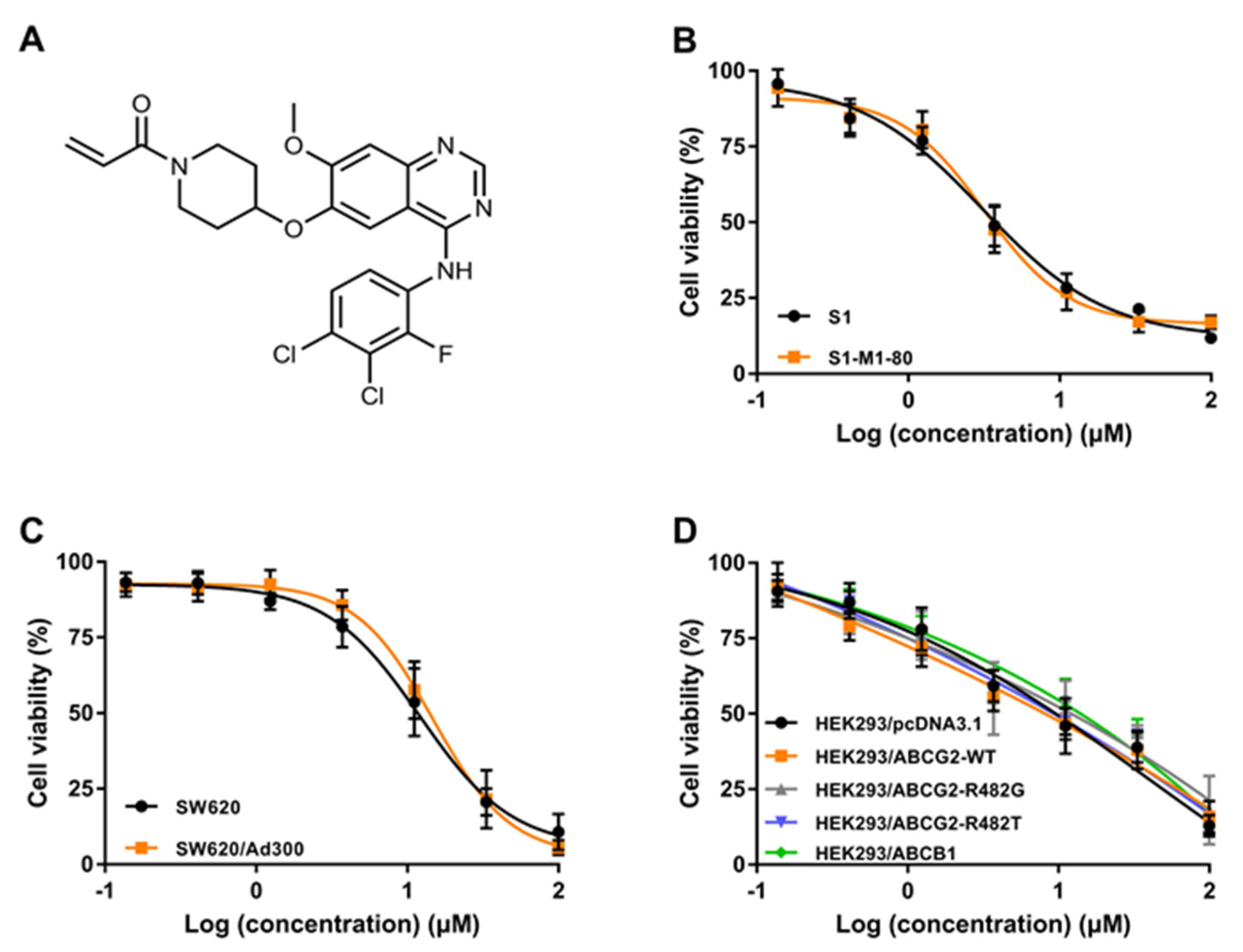 Cancers 12 03249 g001 Cancers 12 03249 g001