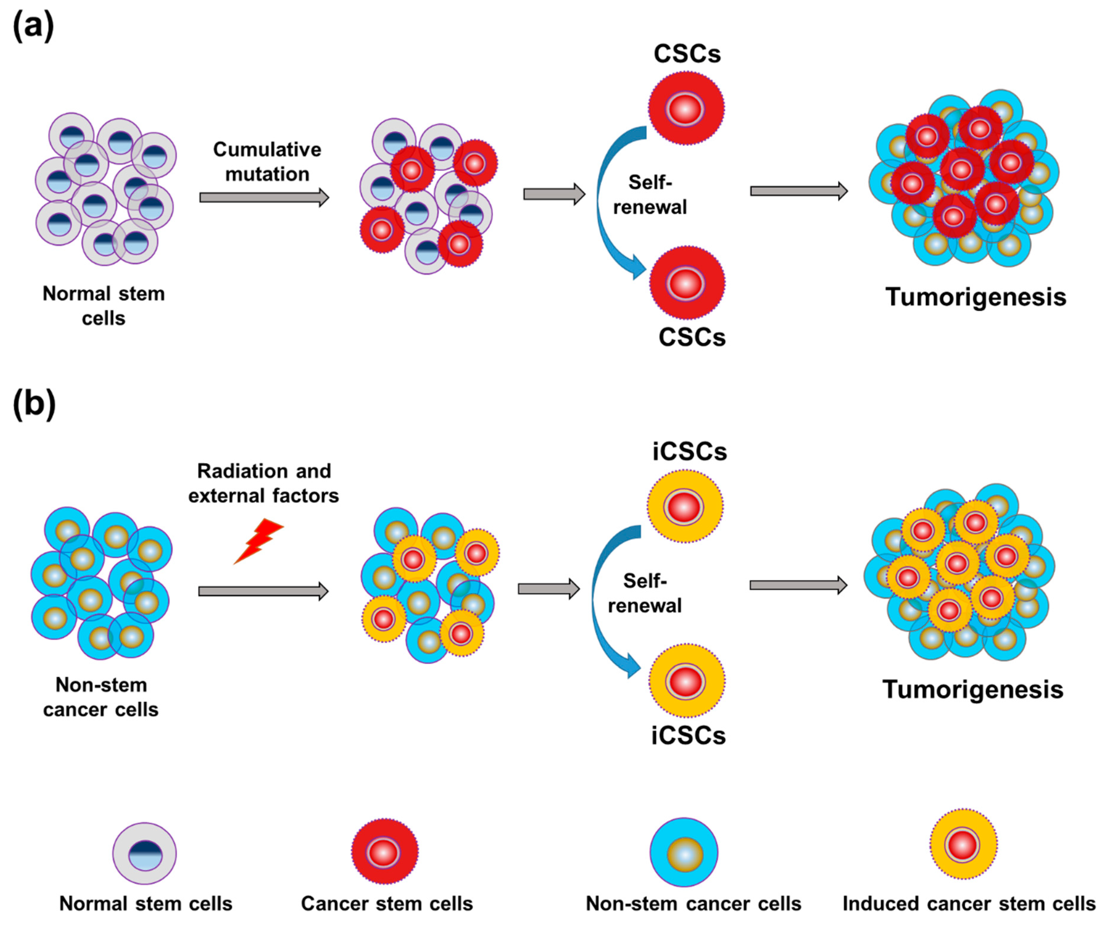 Cancers 12 03253 g003 Cancers 12 03253 g003