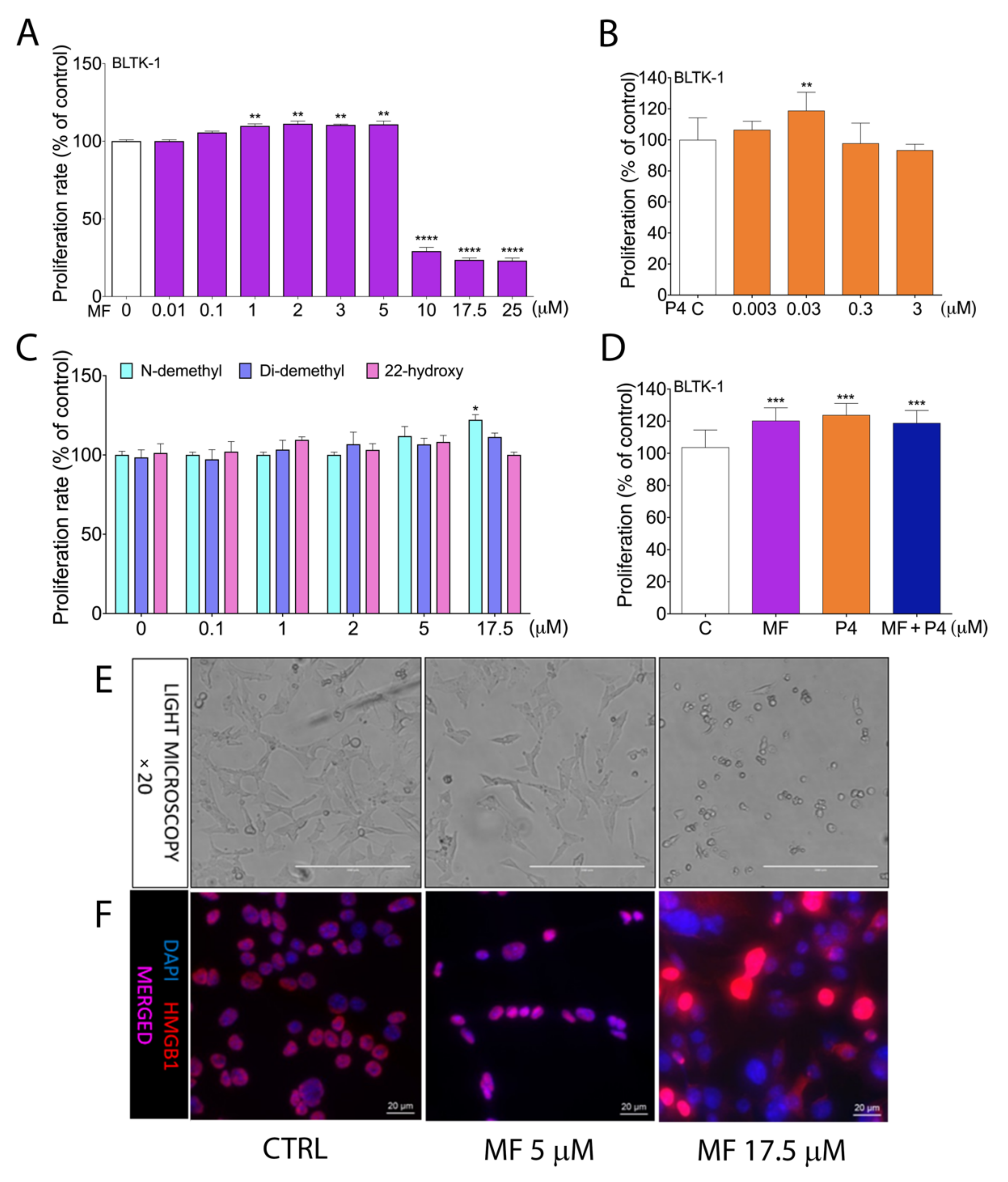 Cancers 12 03263 g001 Cancers 12 03263 g001