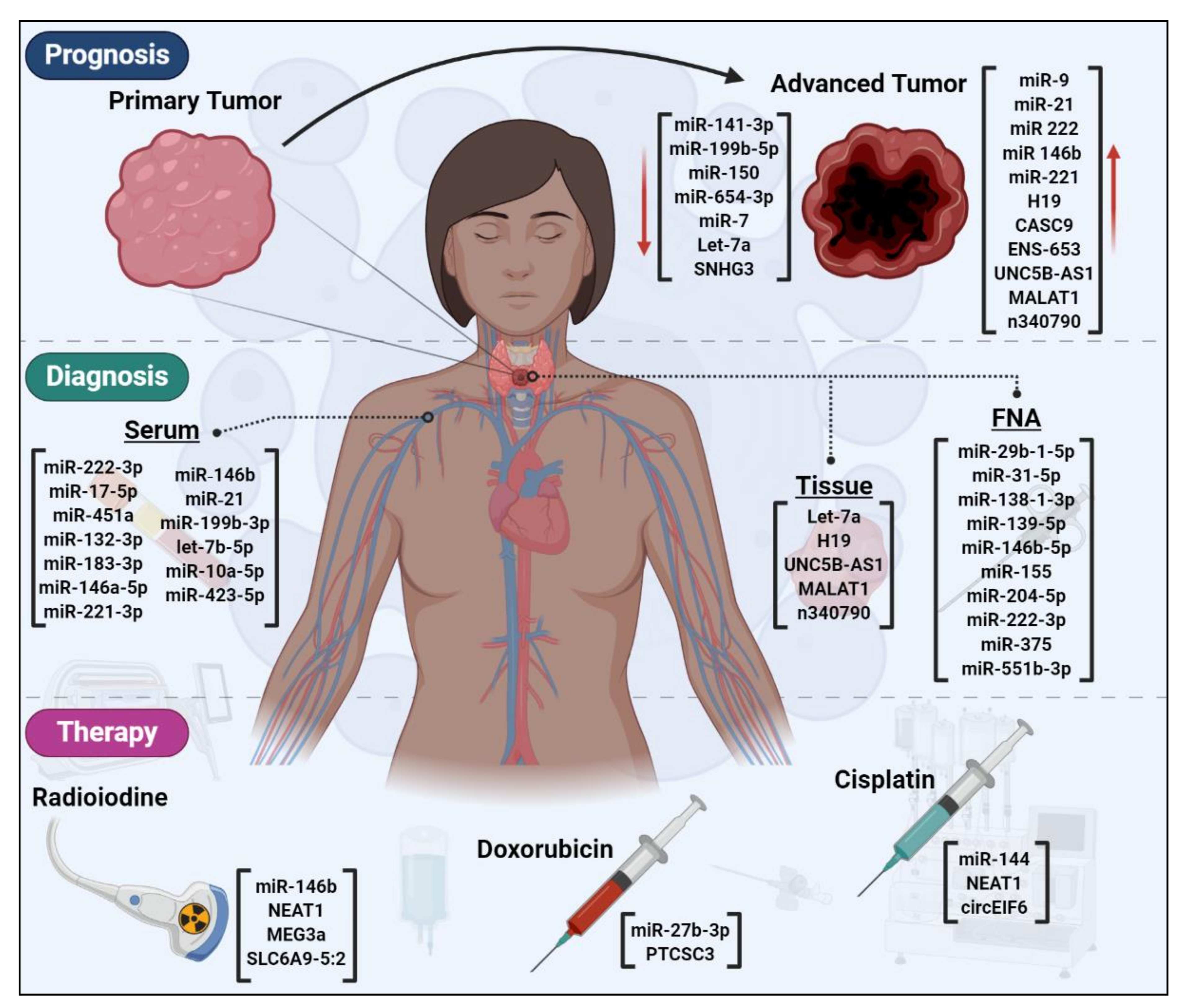 Cancers 12 03264 g003