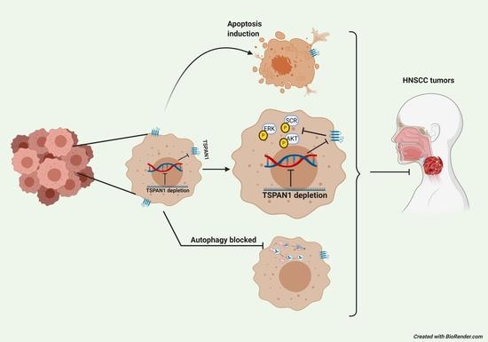 cancers-12-03269-ag-550.jpg