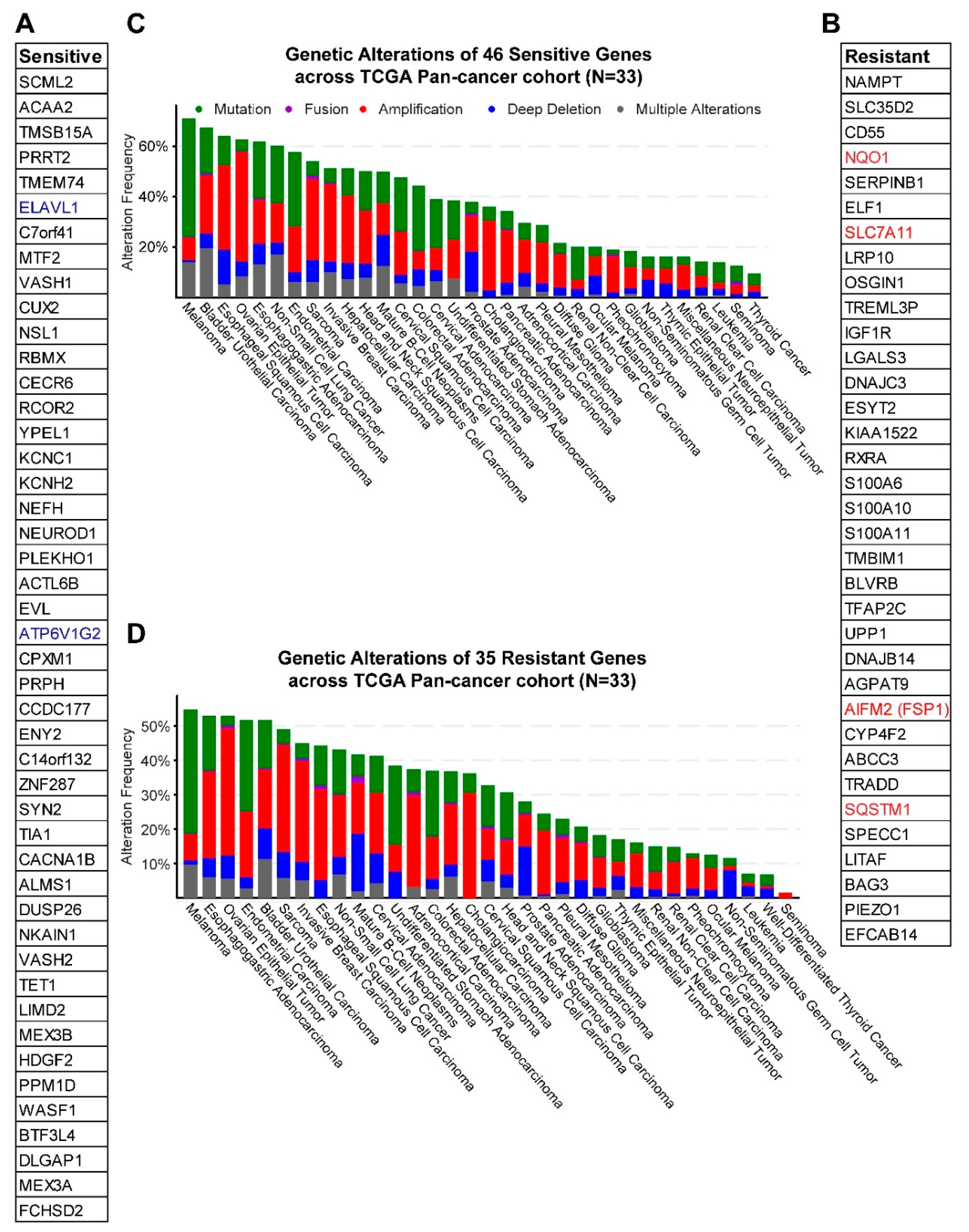 Cancers 12 03273 g003 Cancers 12 03273 g003