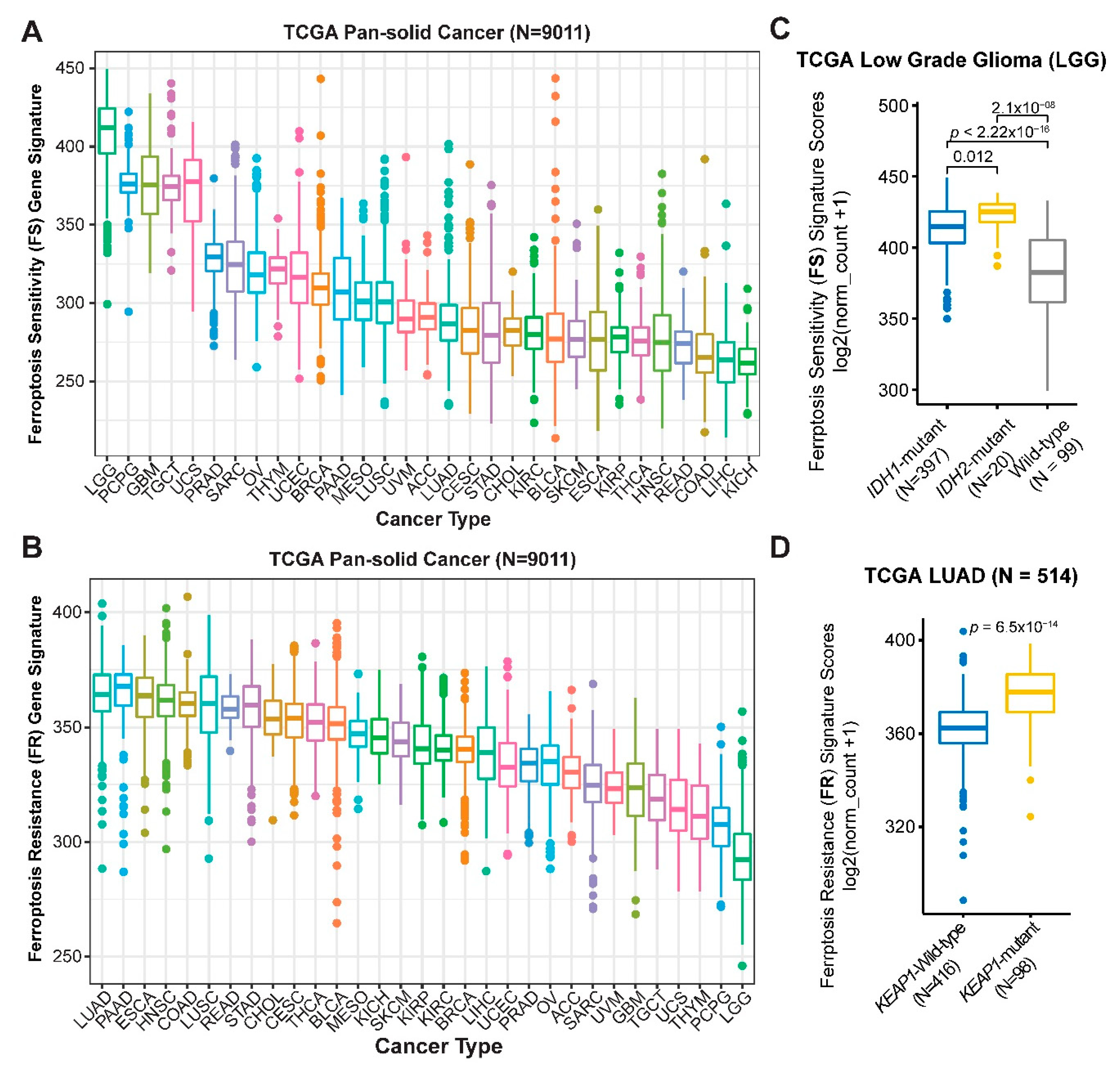 Cancers 12 03273 g004 Cancers 12 03273 g004