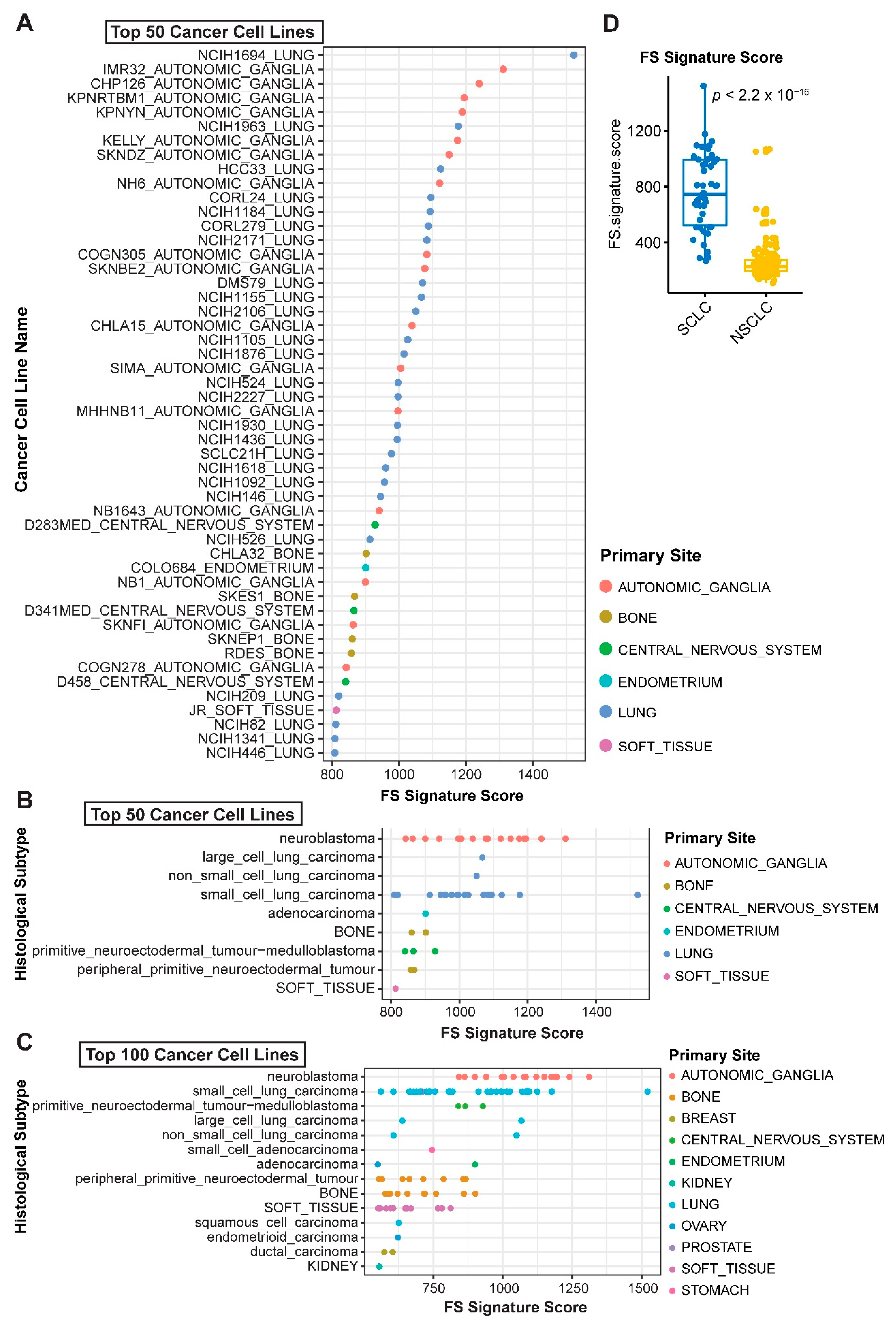 Cancers 12 03273 g006 Cancers 12 03273 g006