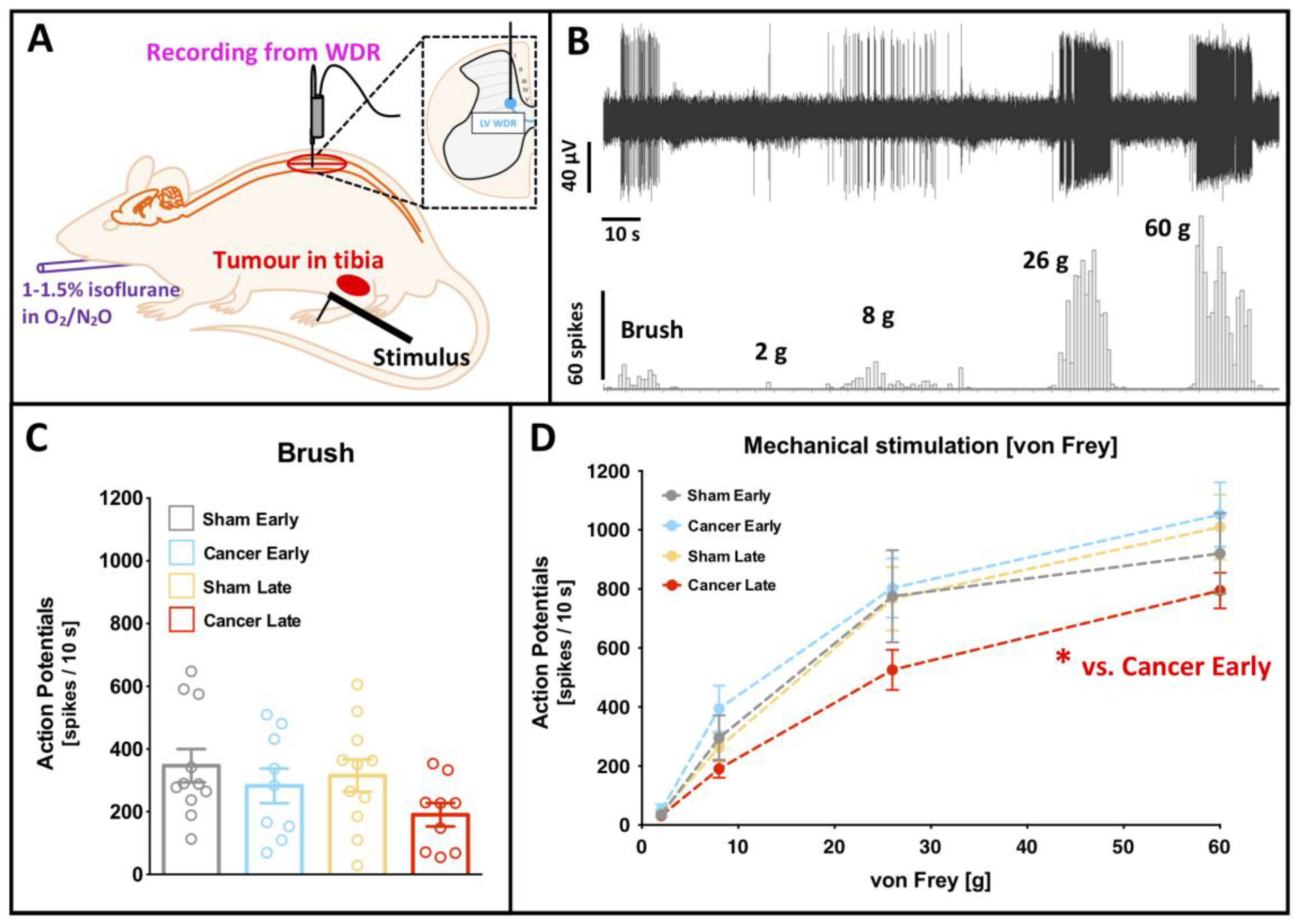 Cancers 12 03286 g002 Cancers 12 03286 g002