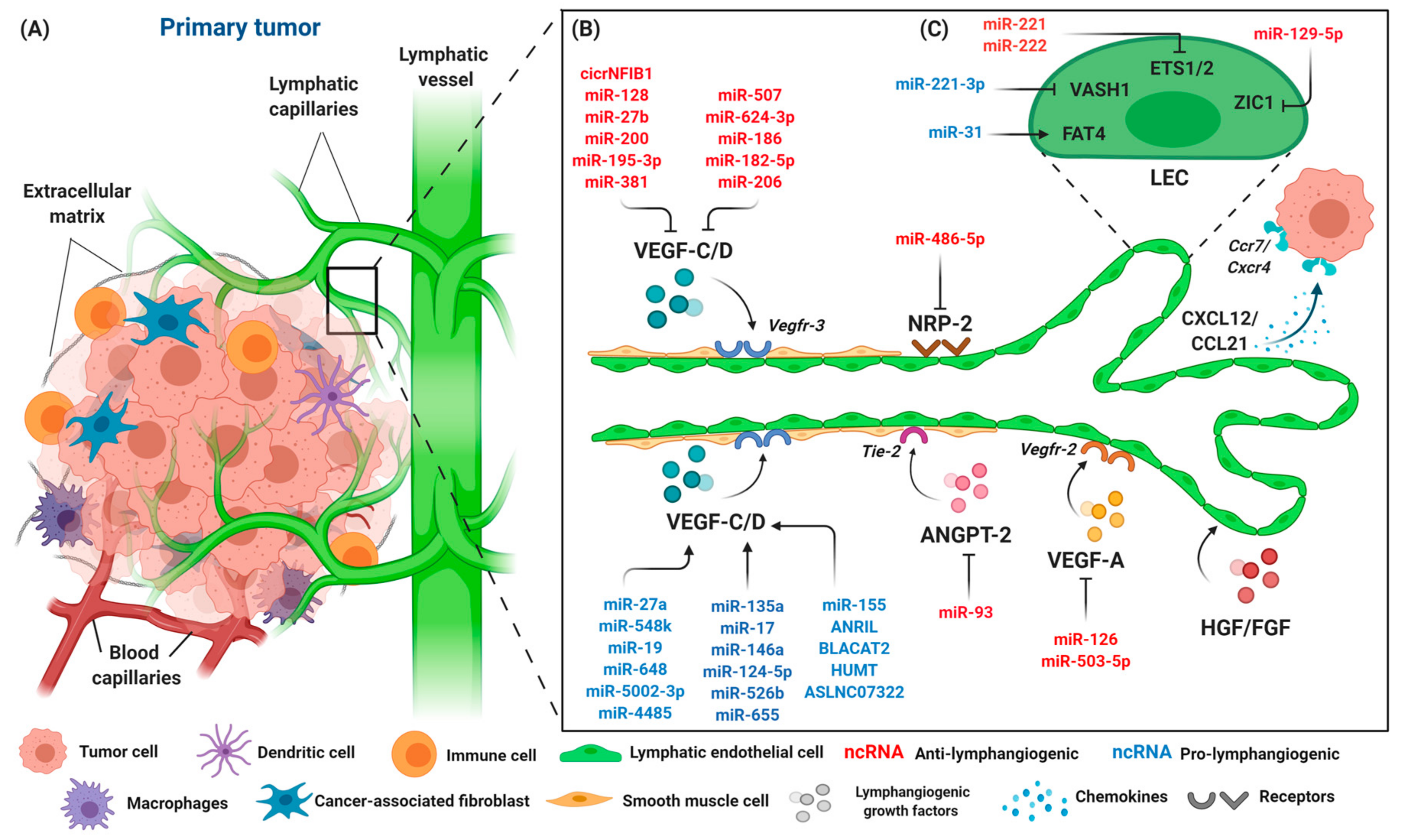 Cancers 12 03290 g003 Cancers 12 03290 g003
