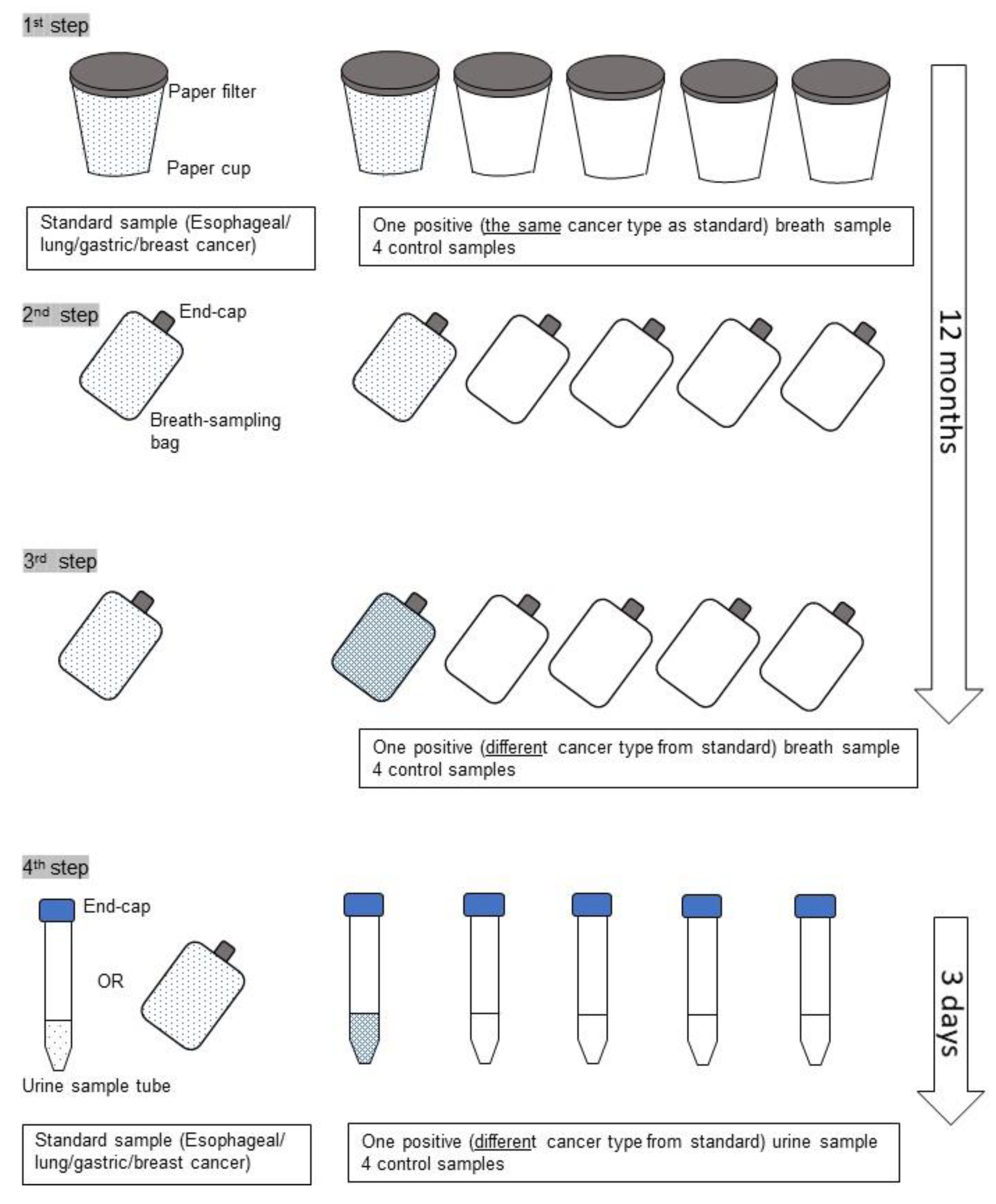 Cancers 12 03291 g001