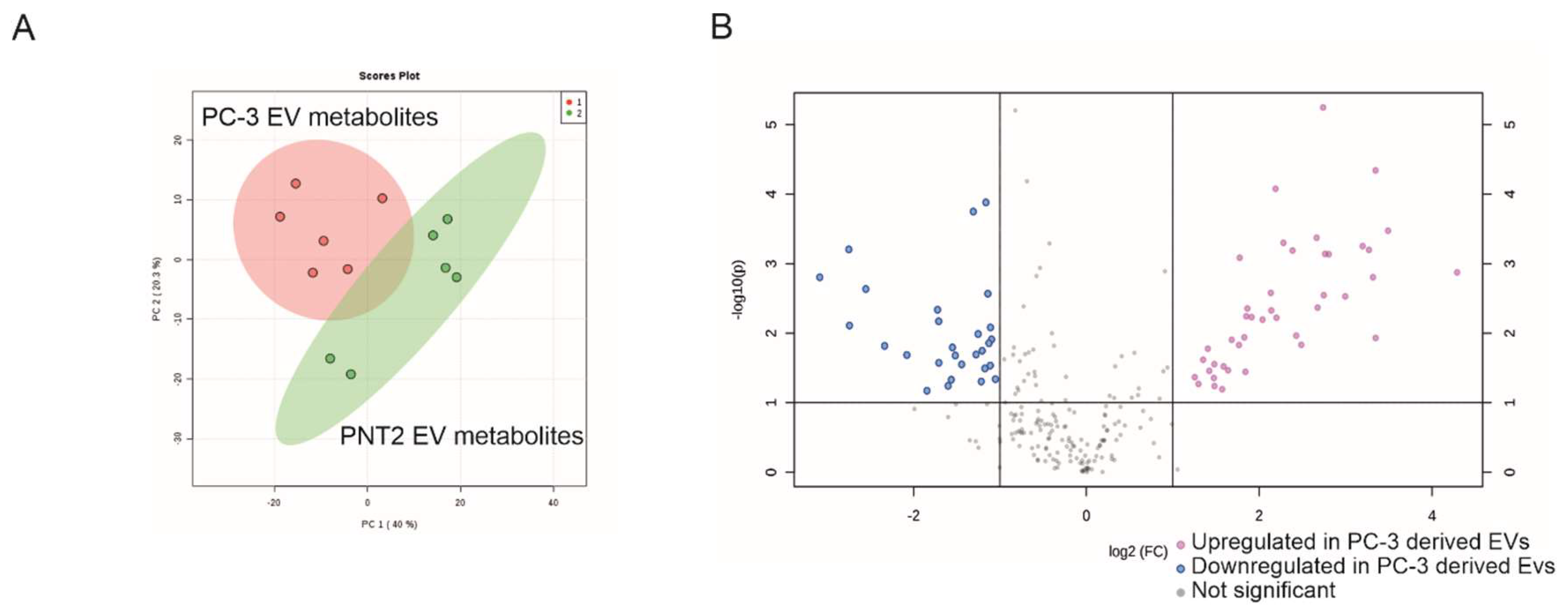 Cancers 12 03292 g003 Cancers 12 03292 g003