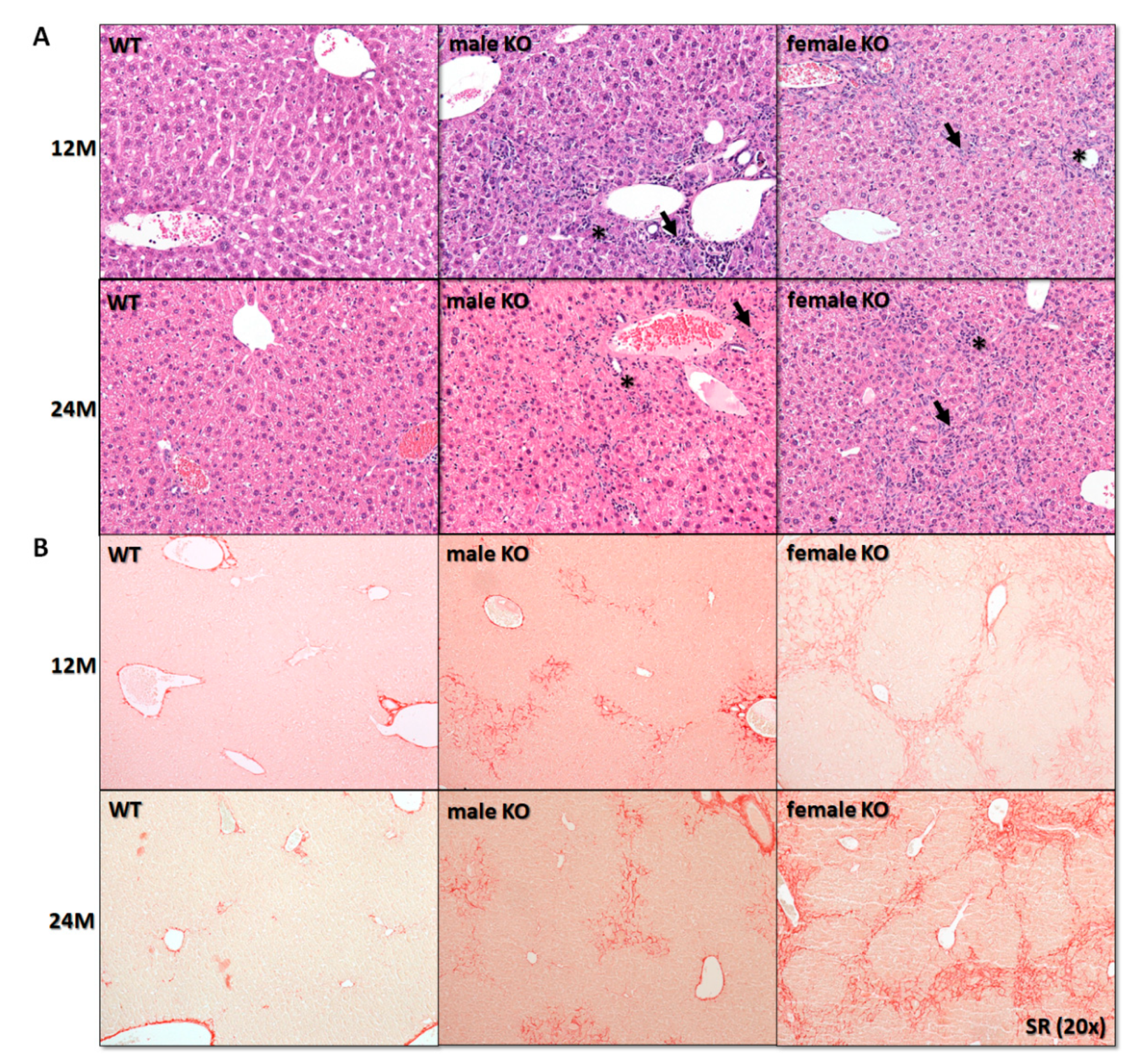 Cancers 12 03302 g001