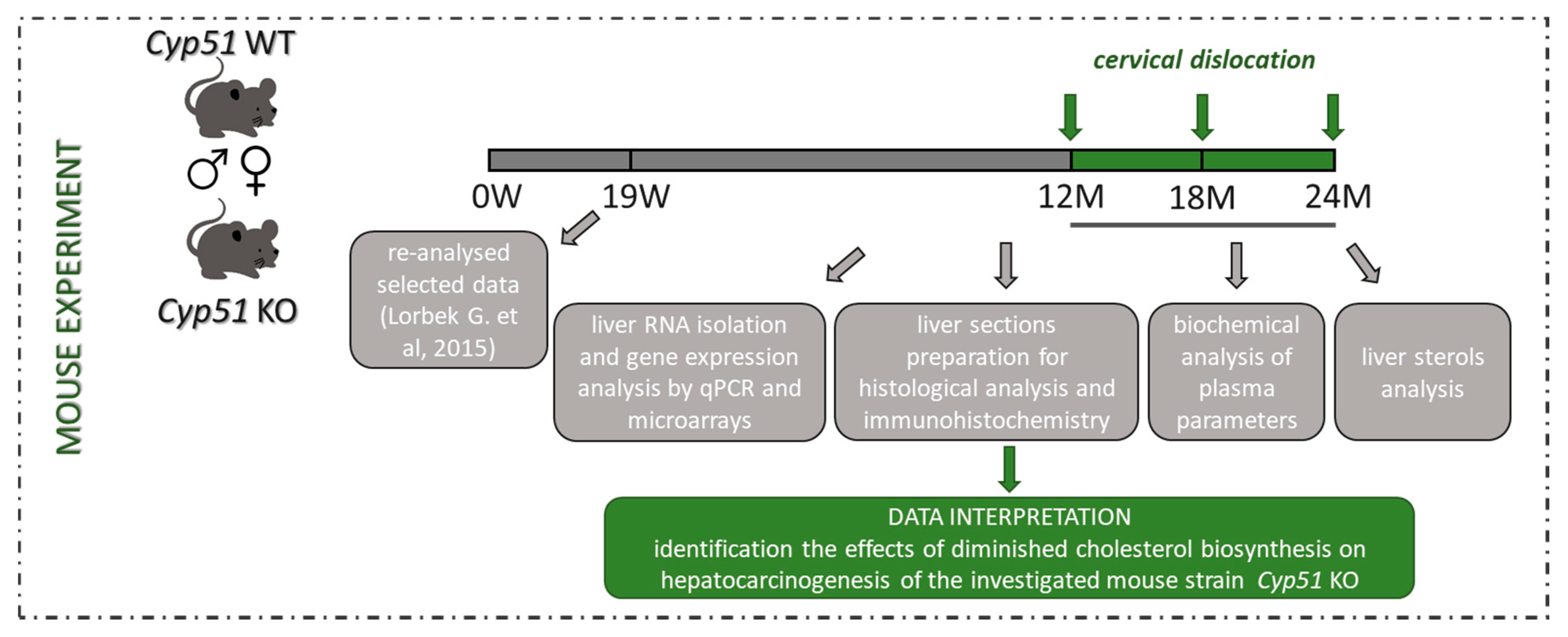 Cancers 12 03302 g0a1