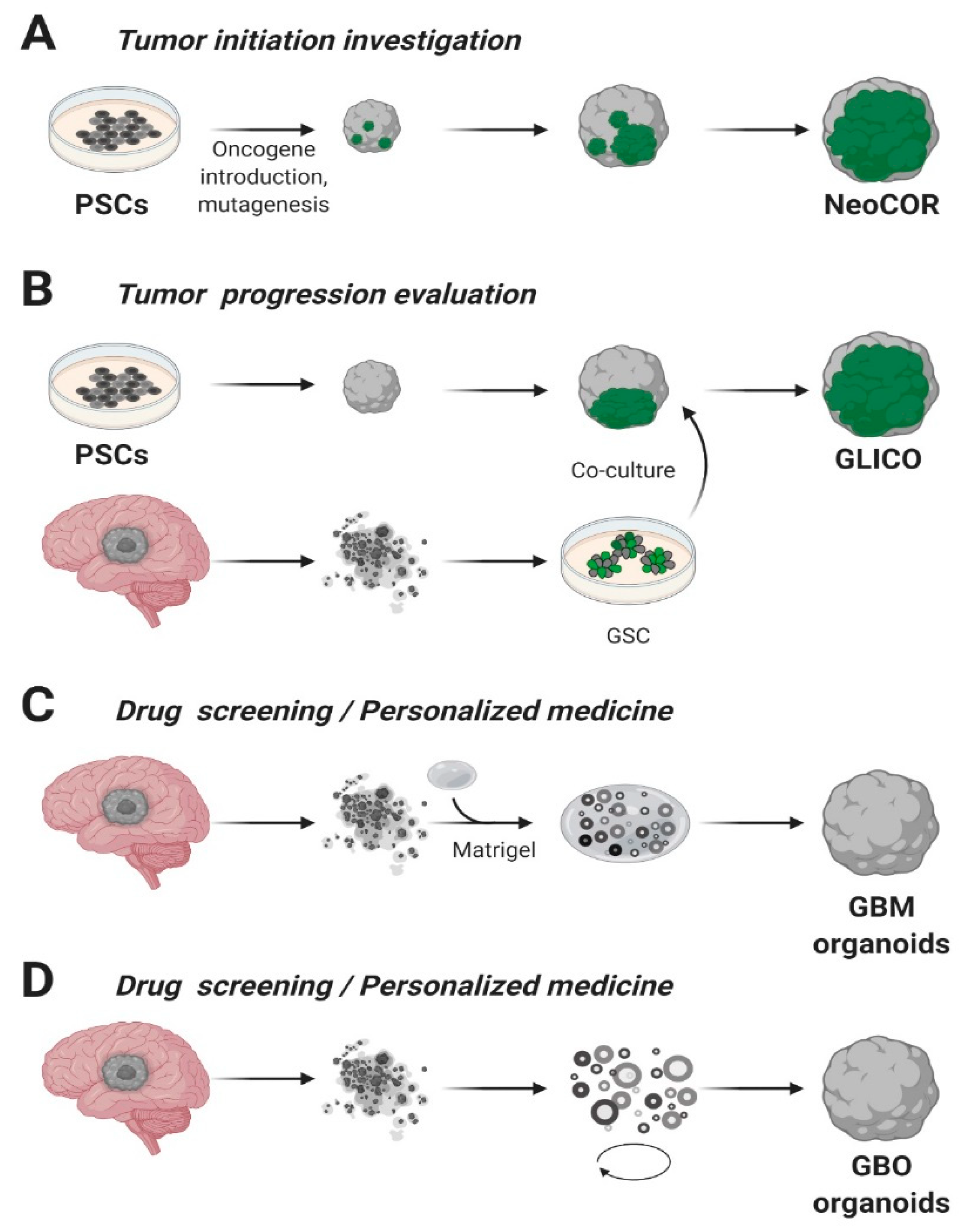 Cancers 12 03303 g002 Cancers 12 03303 g002
