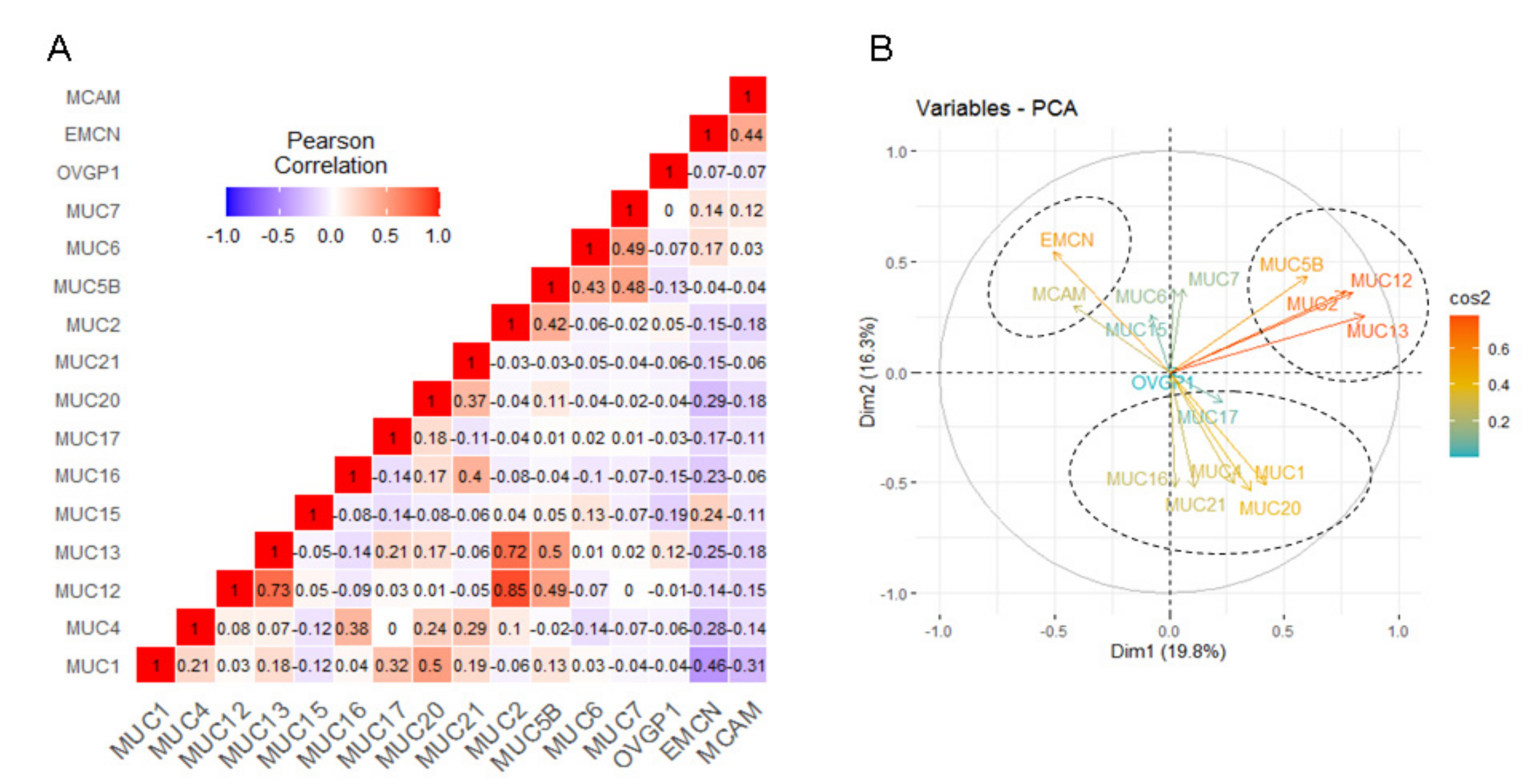 Cancers 12 03309 g004