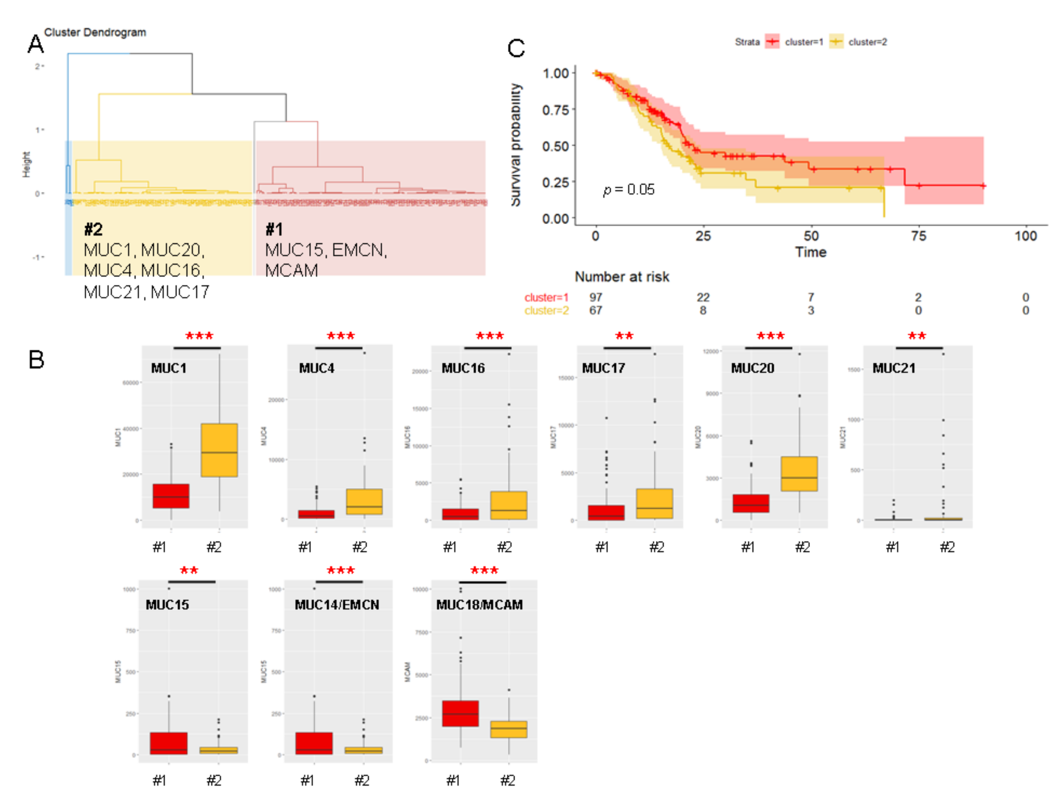 Cancers 12 03309 g005