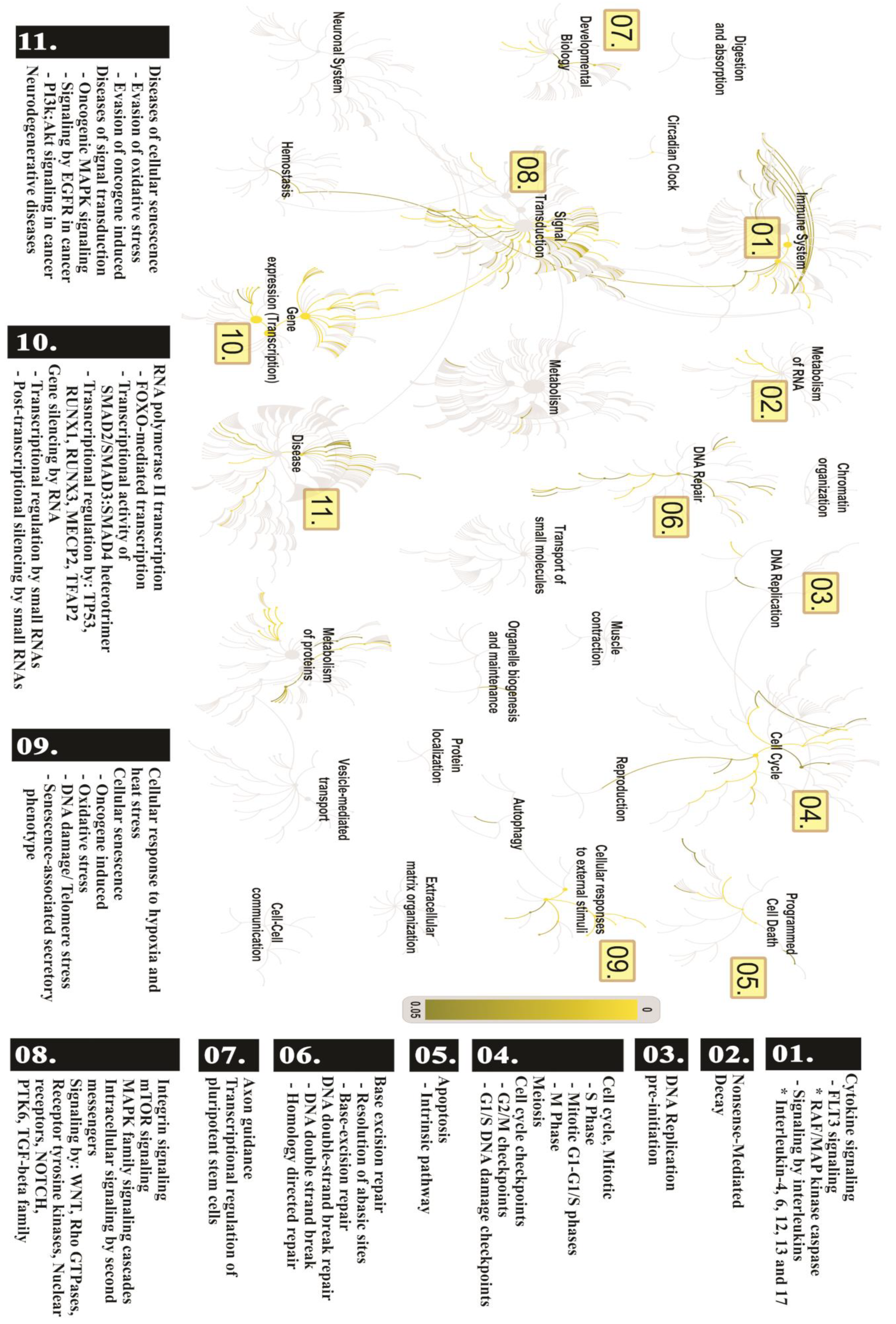 Cancers 12 03311 g007 Cancers 12 03311 g007