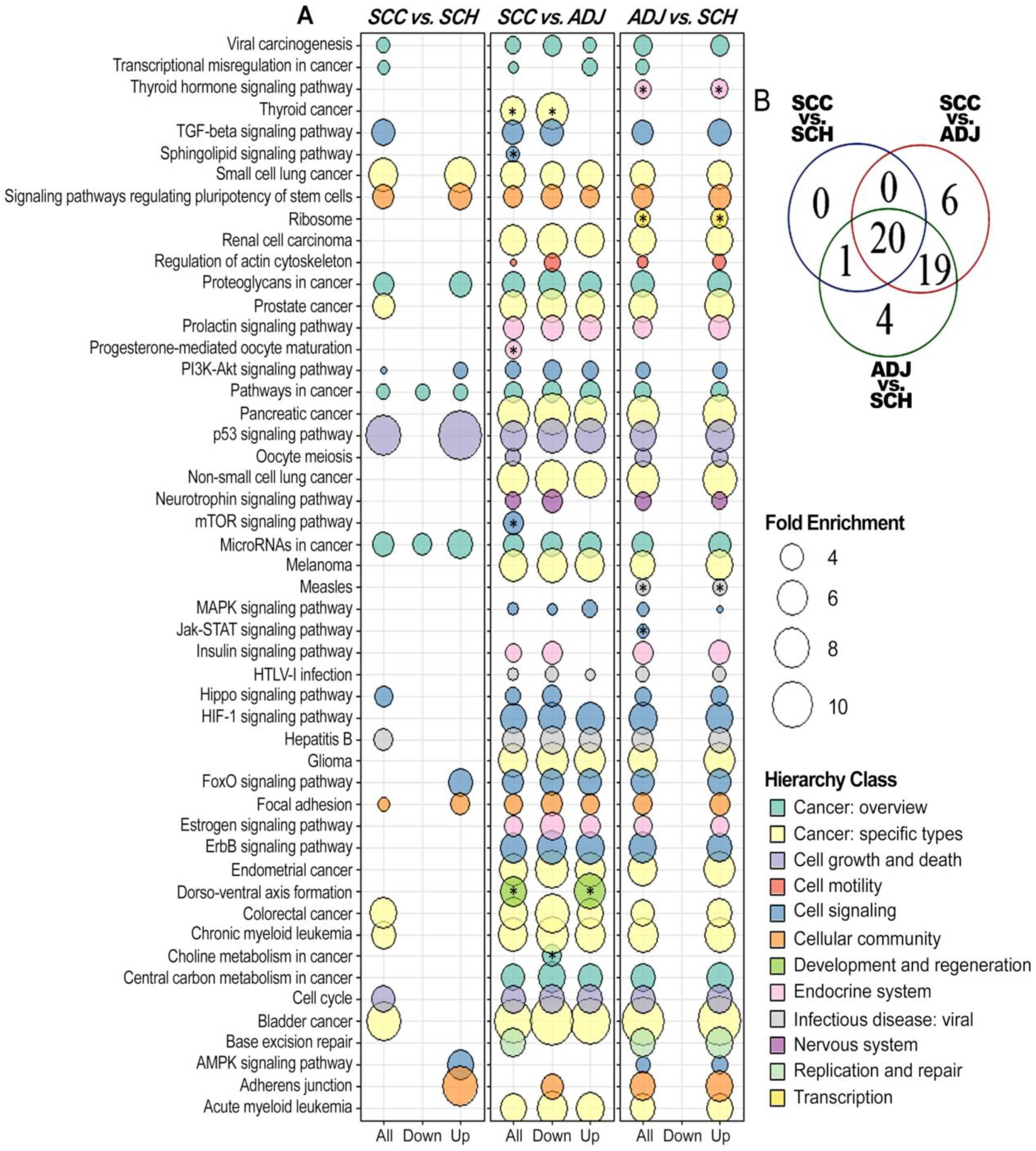 Cancers 12 03311 g008 Cancers 12 03311 g008