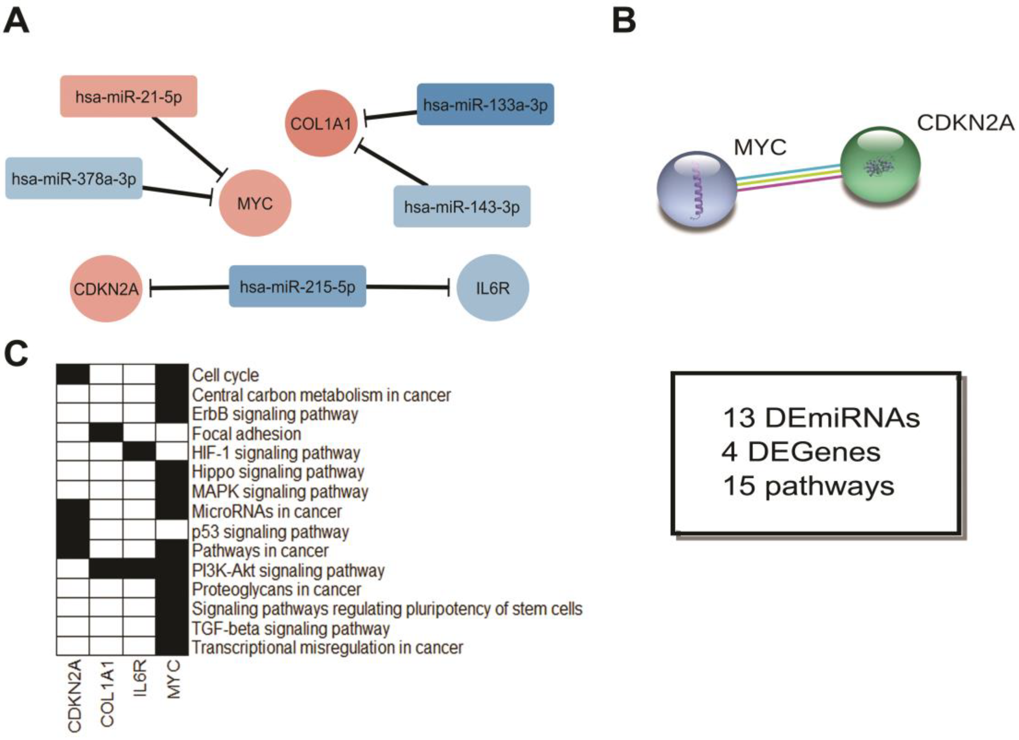 Cancers 12 03311 g011 Cancers 12 03311 g011