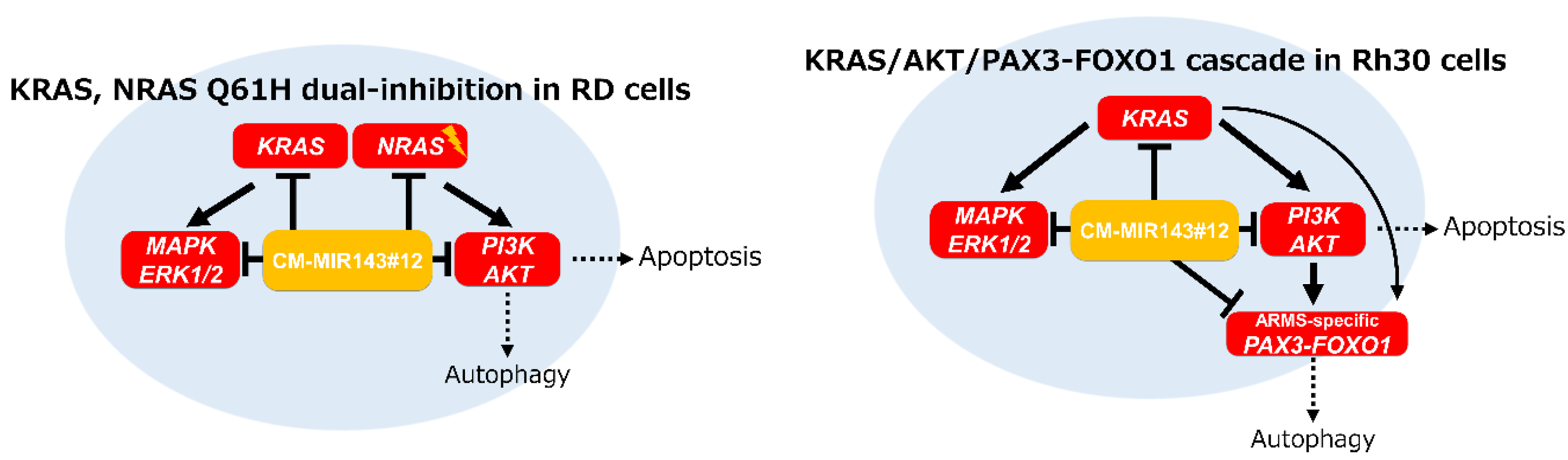 Cancers 12 03312 g007 Cancers 12 03312 g007