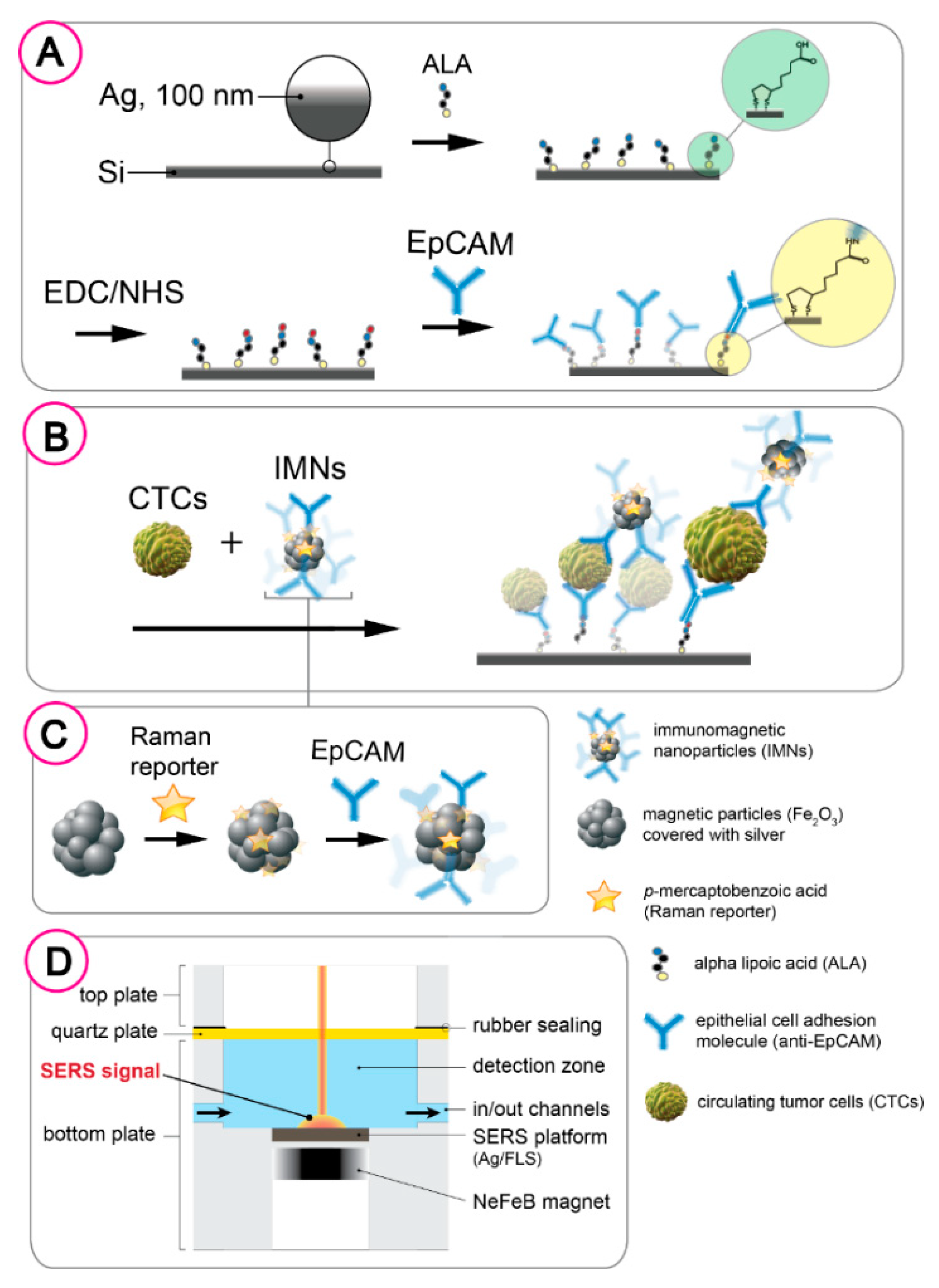 Cancers 12 03315 g002 Cancers 12 03315 g002