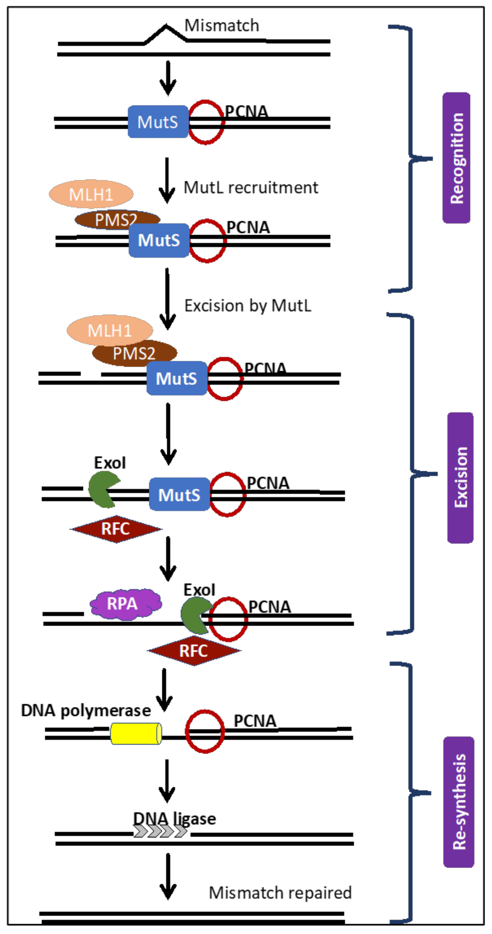 Cancers 12 03319 g001 Cancers 12 03319 g001