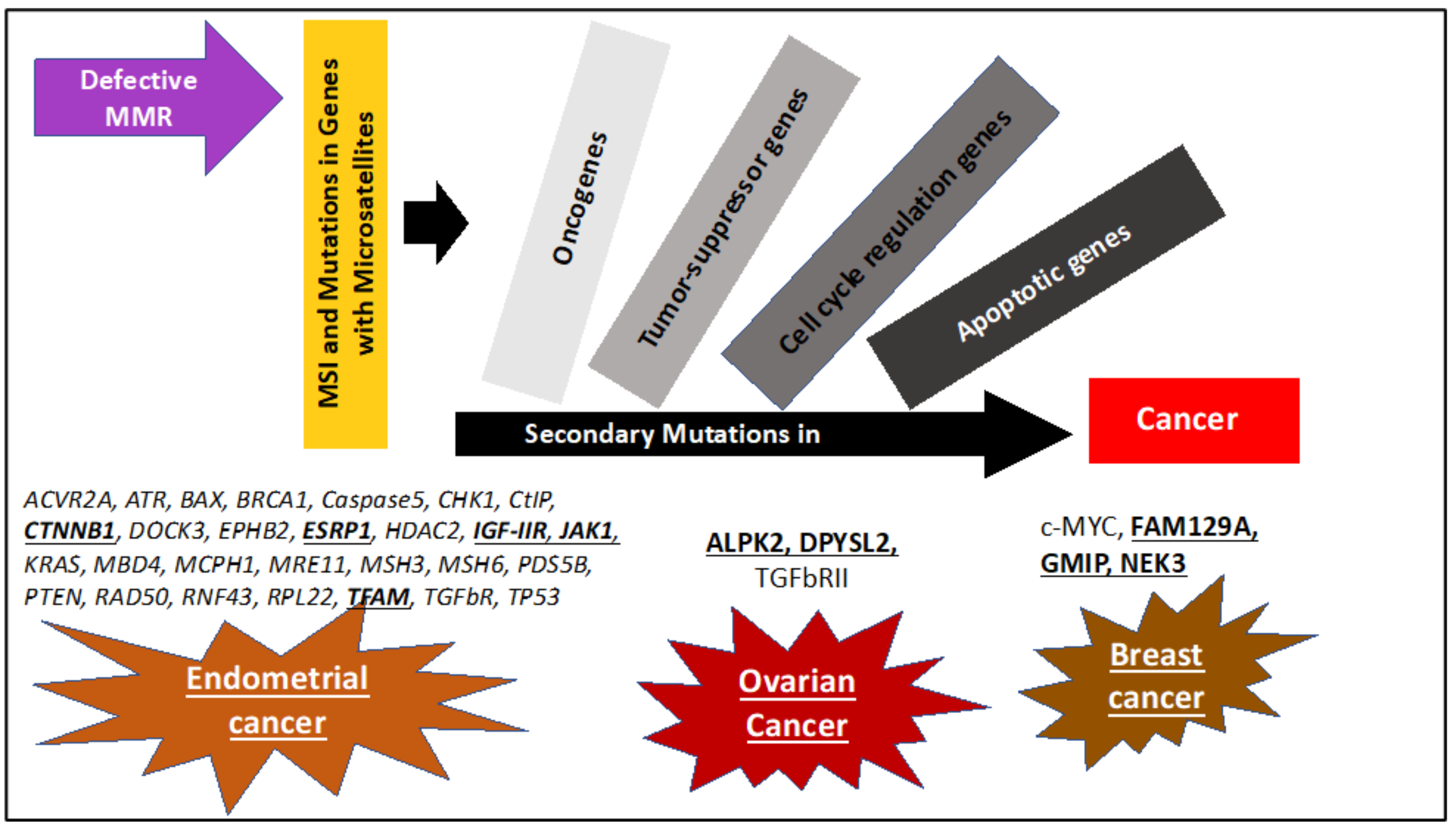 Cancers 12 03319 g002 Cancers 12 03319 g002