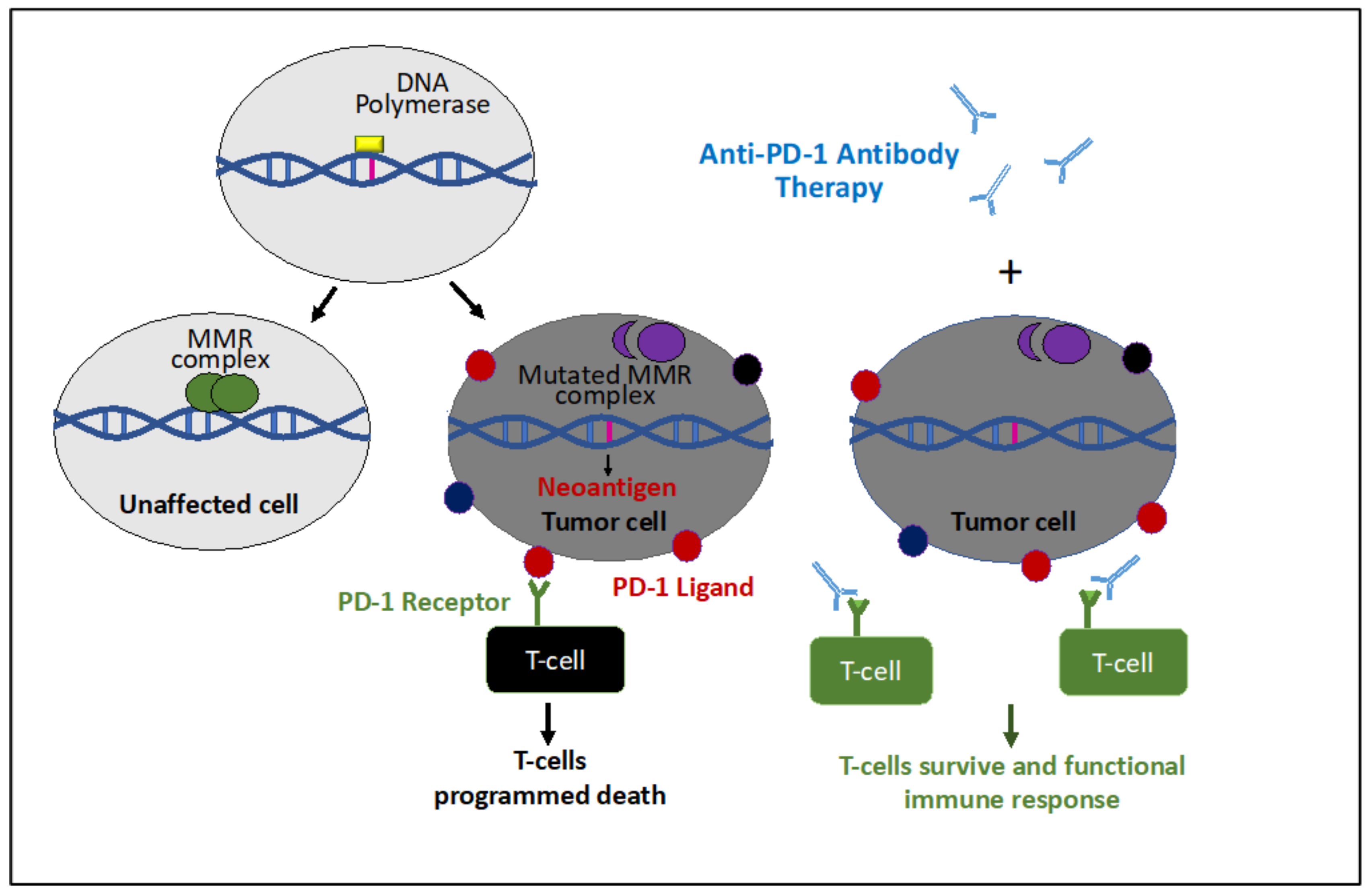 Cancers 12 03319 g003 Cancers 12 03319 g003