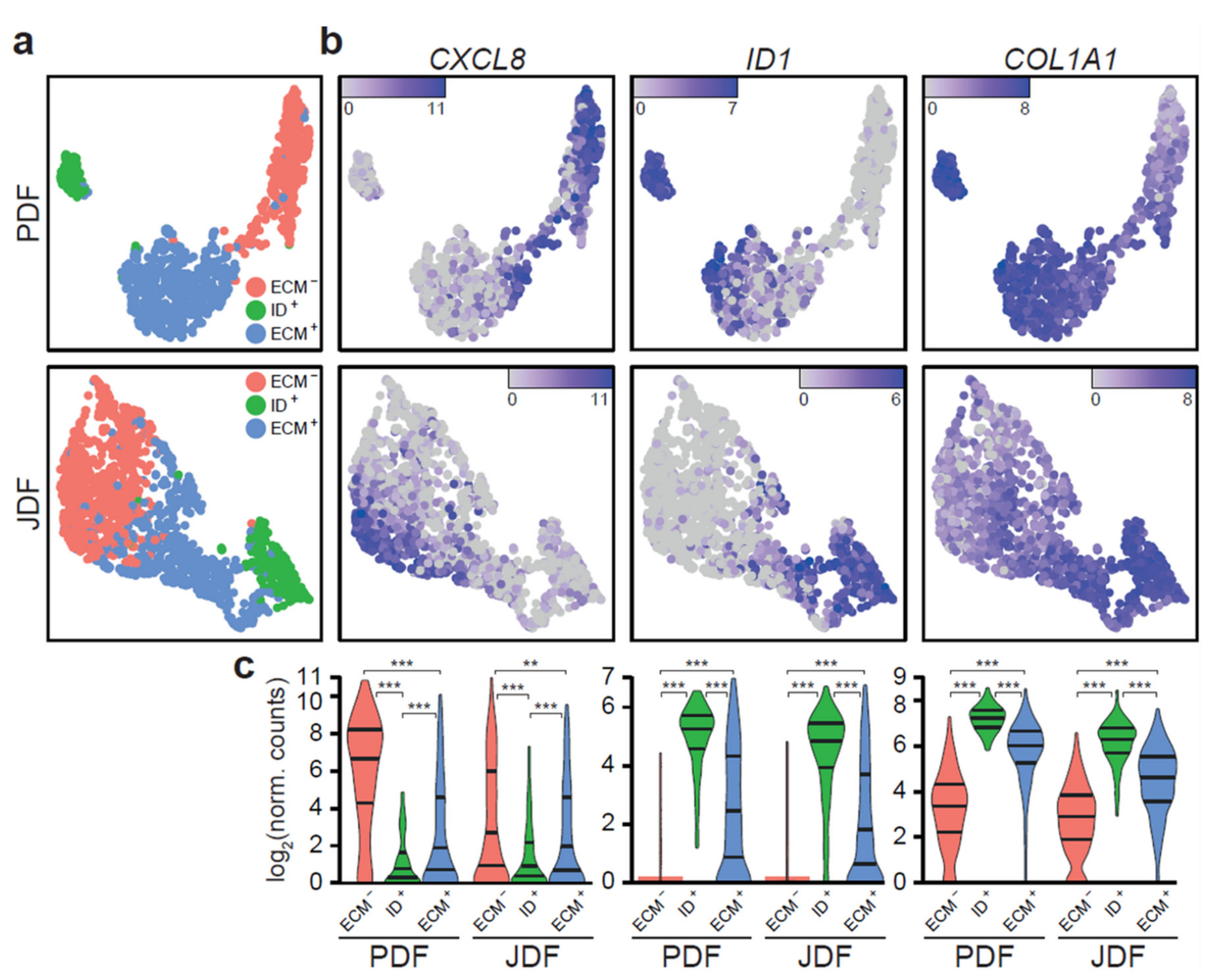 Cancers 12 03324 g002