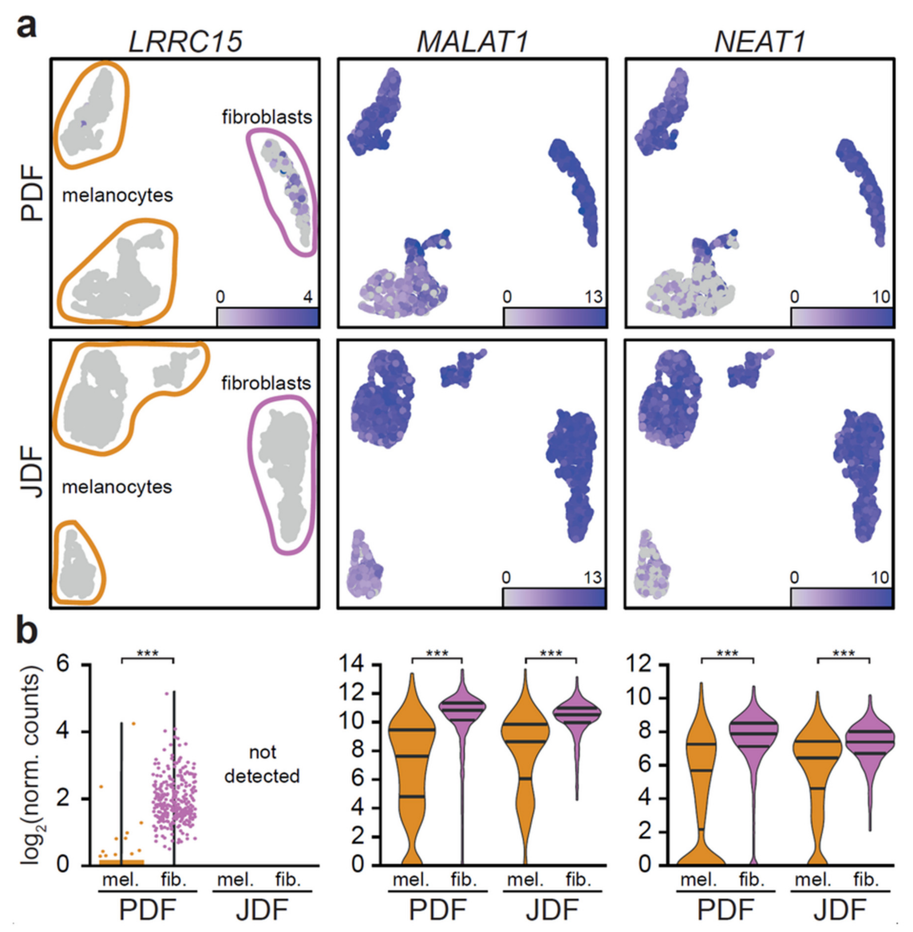 Cancers 12 03324 g005