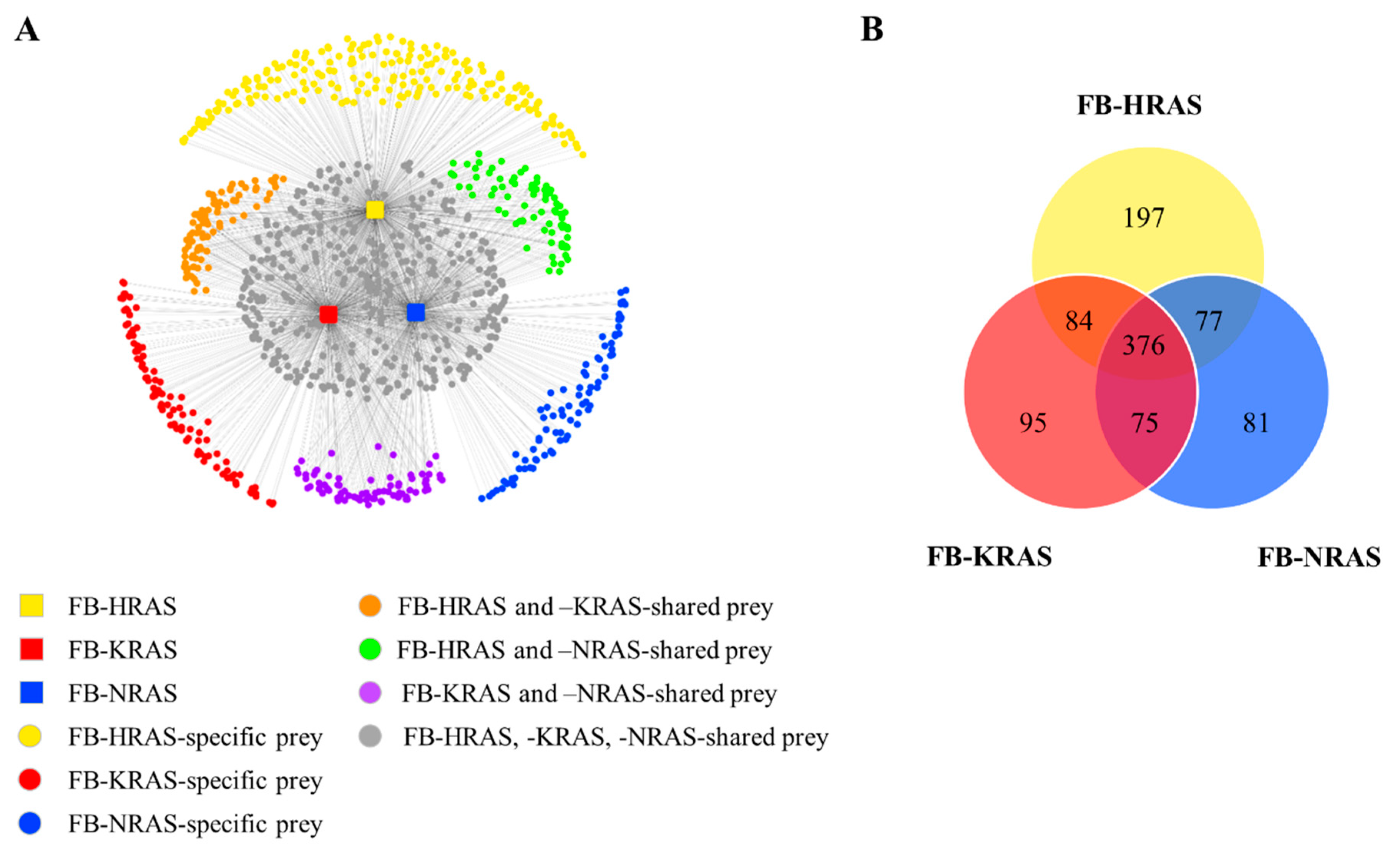 Cancers 12 03326 g001 Cancers 12 03326 g001
