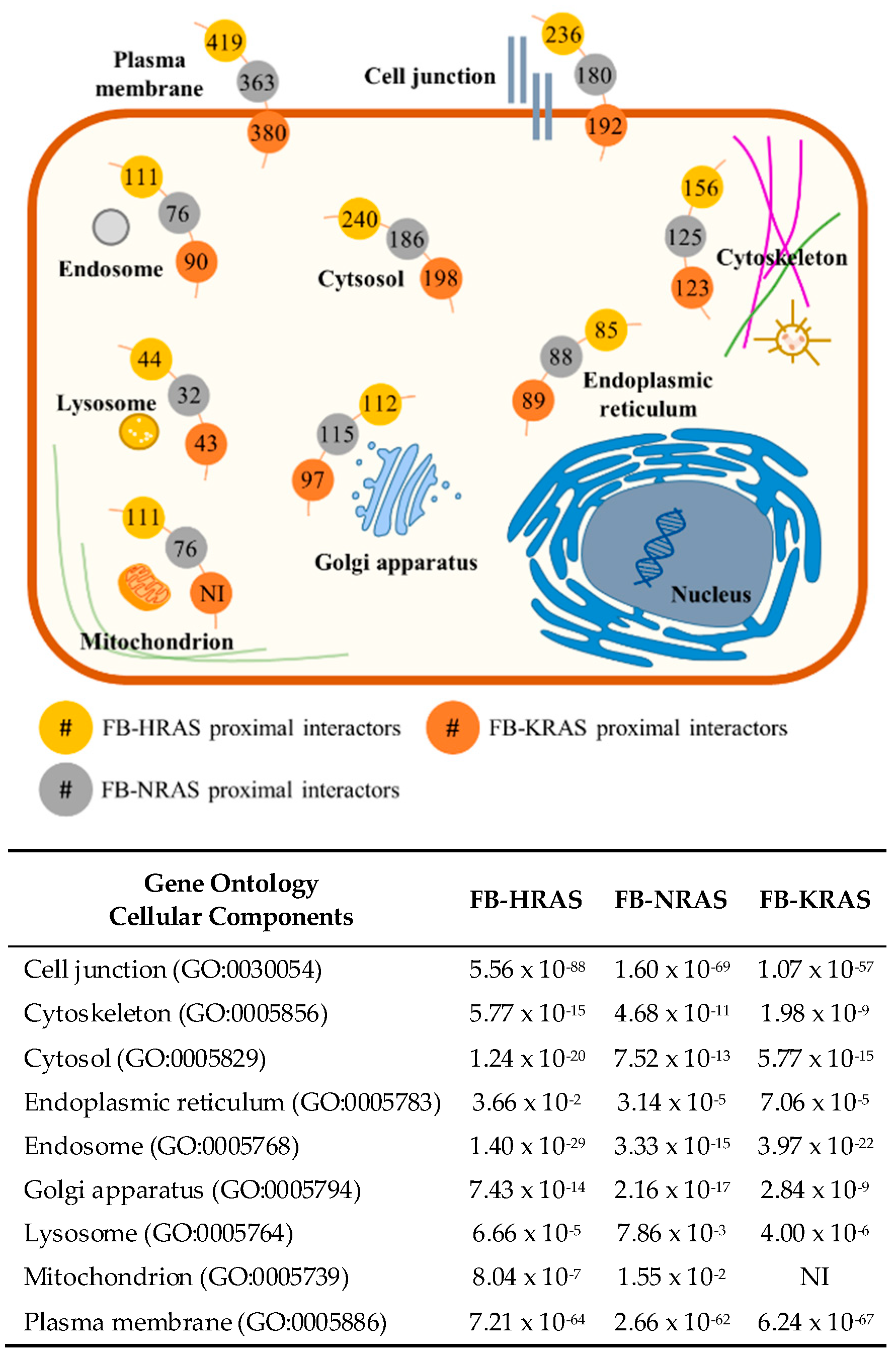 Cancers 12 03326 g003 Cancers 12 03326 g003