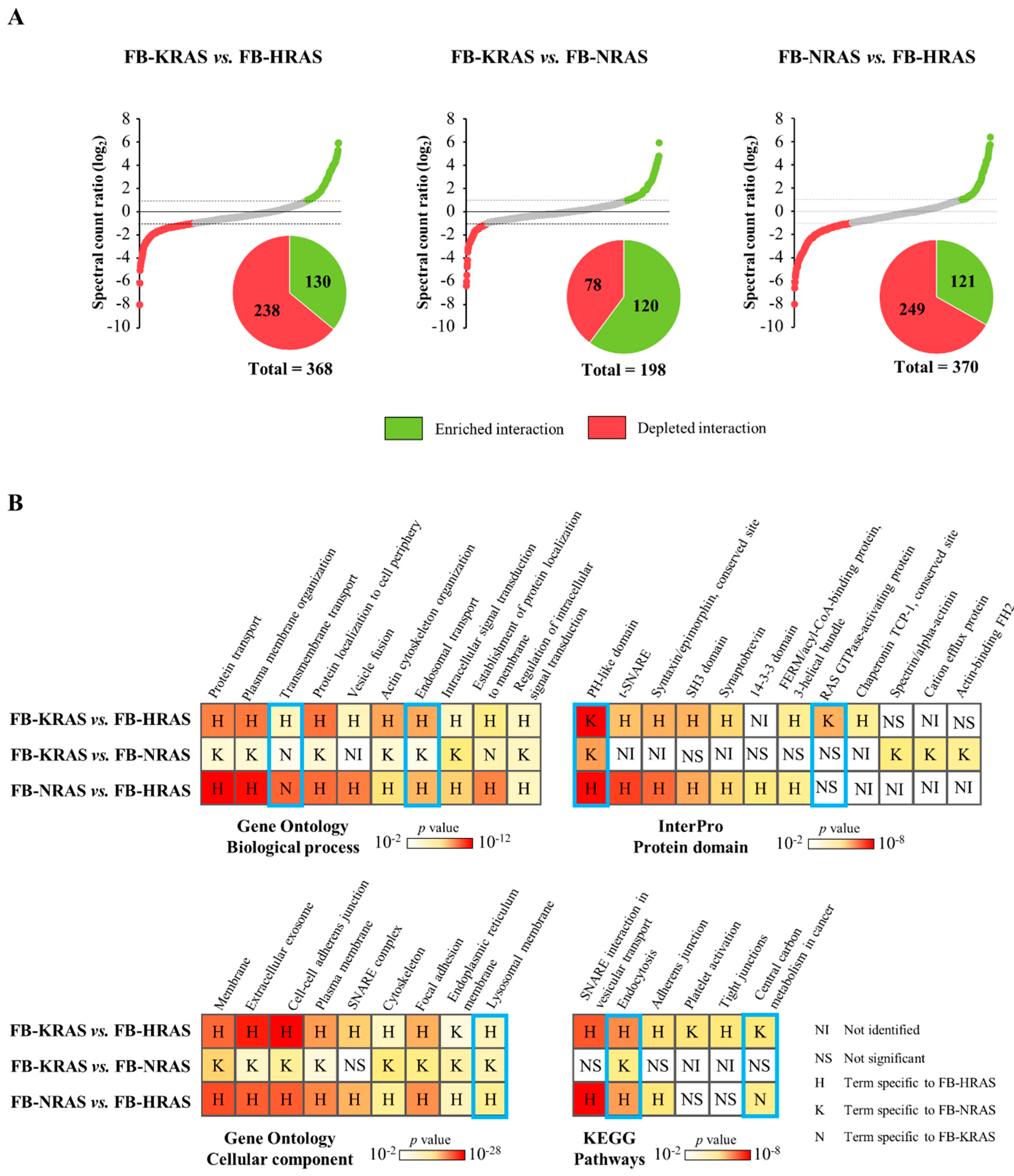 Cancers 12 03326 g005 Cancers 12 03326 g005