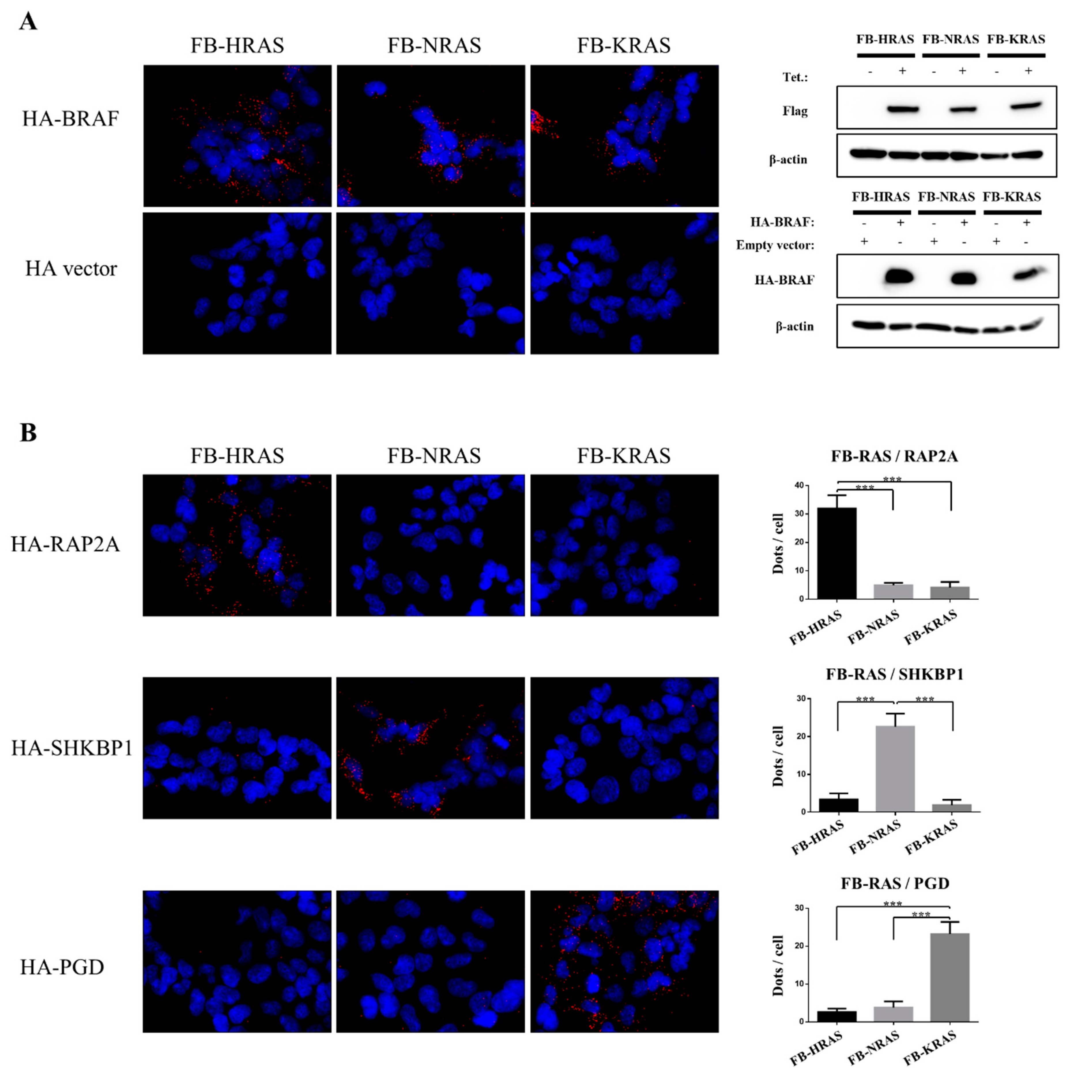 Cancers 12 03326 g006 Cancers 12 03326 g006