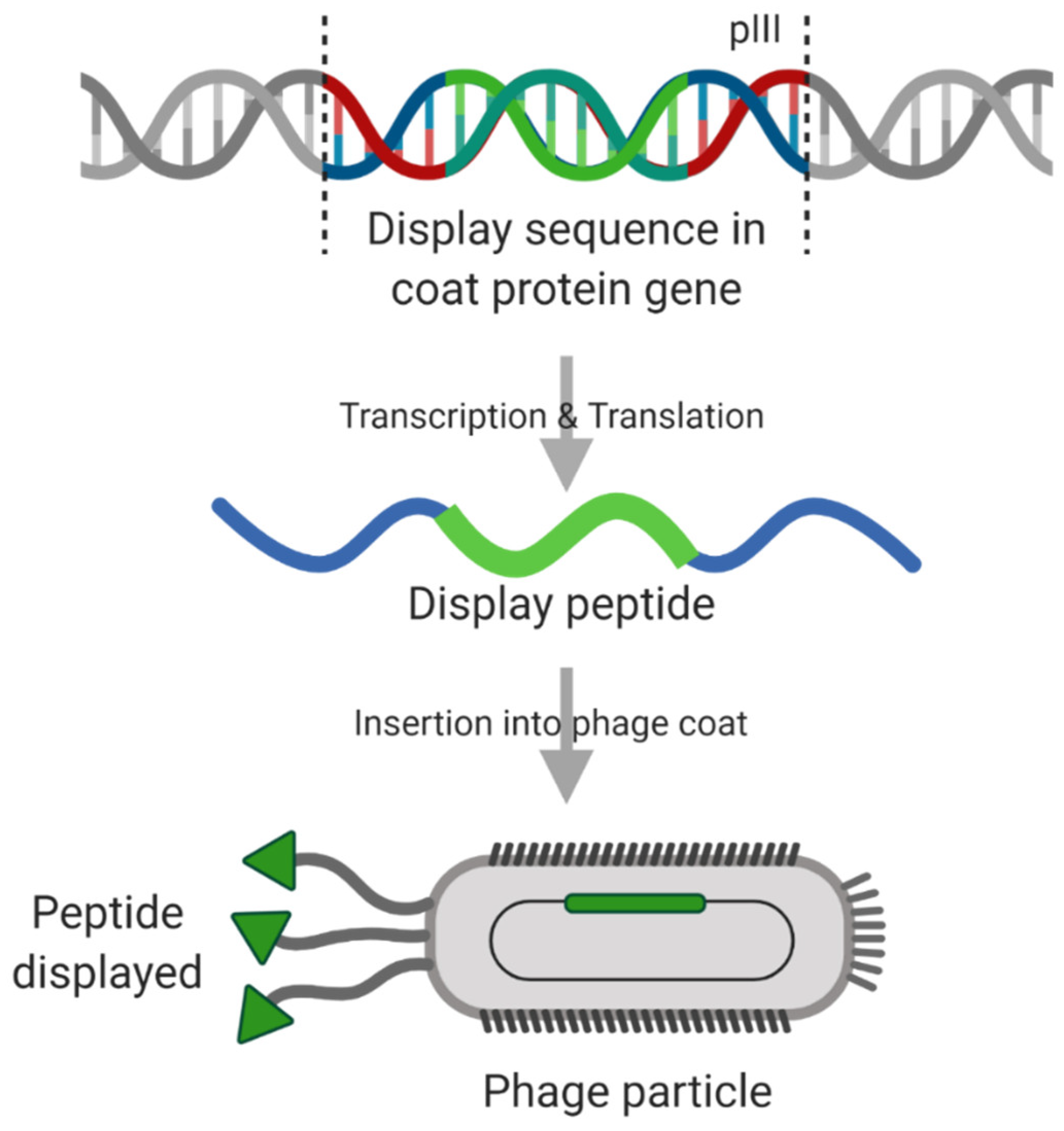 Cancers 12 03327 g007