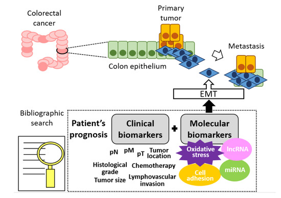 cancers-12-03330-ag-550.jpg