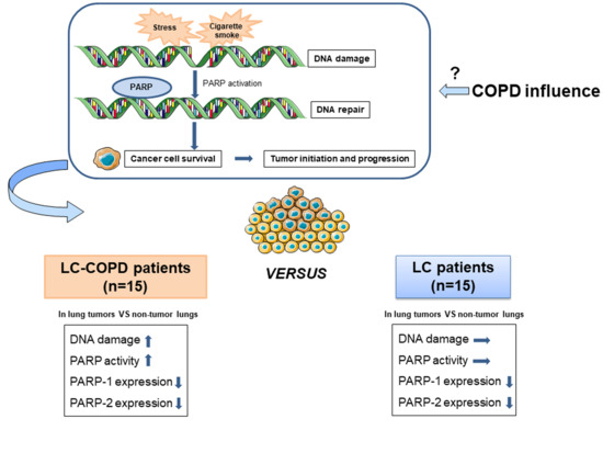 cancers-12-03333-ag-550.jpg