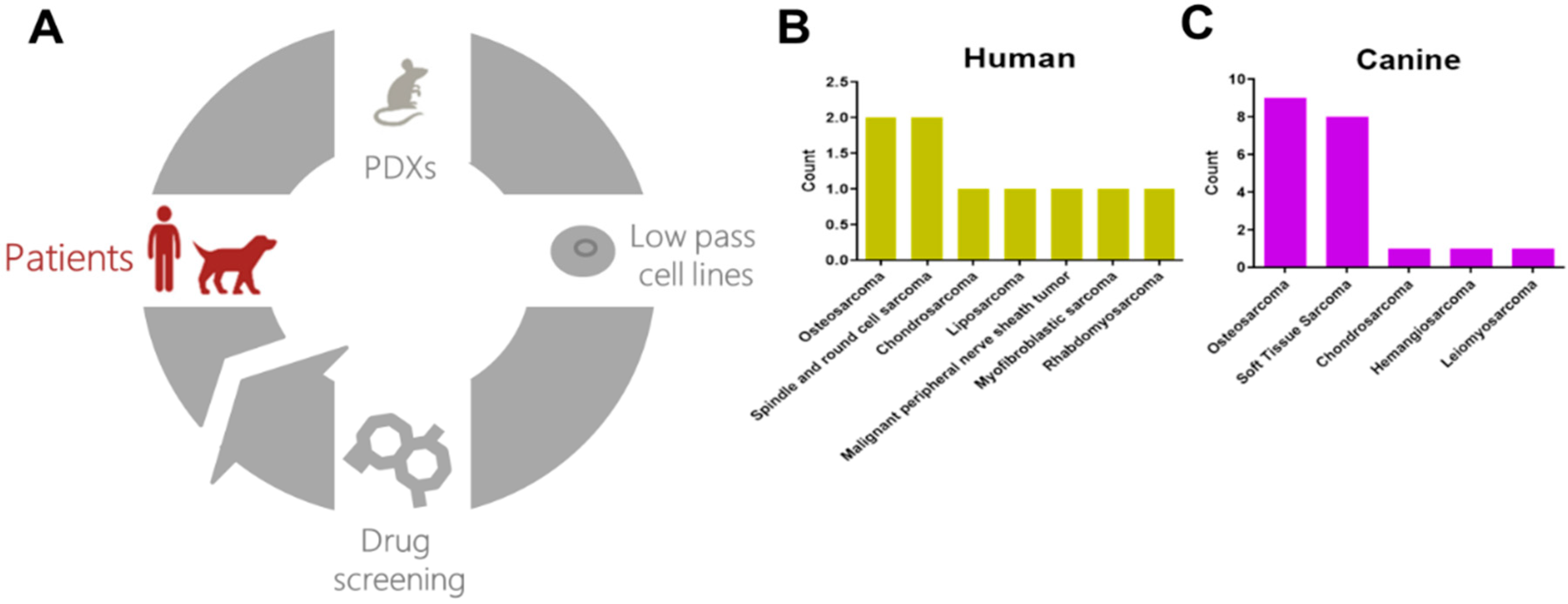 Cancers 12 03335 g001 Cancers 12 03335 g001
