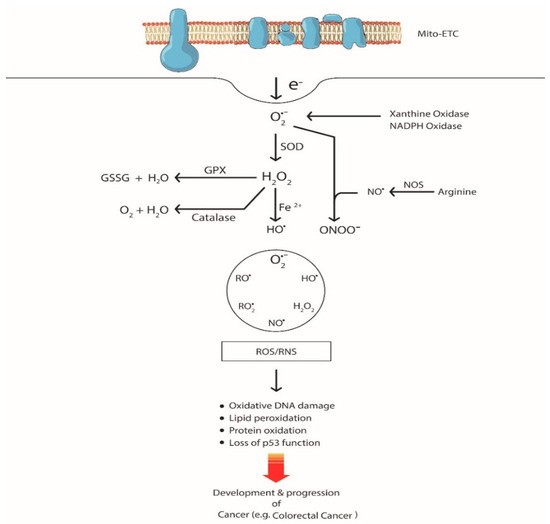 cancers-12-03336-g001-550.jpg