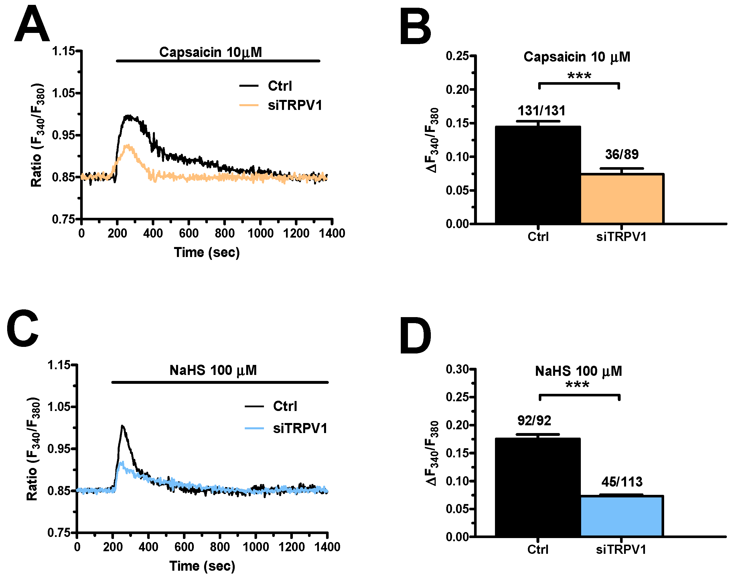 Cancers 12 03338 g010