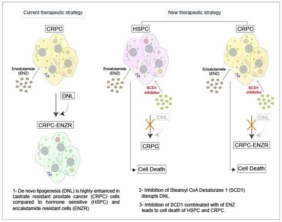 cancers-12-03339-ag-550.jpg